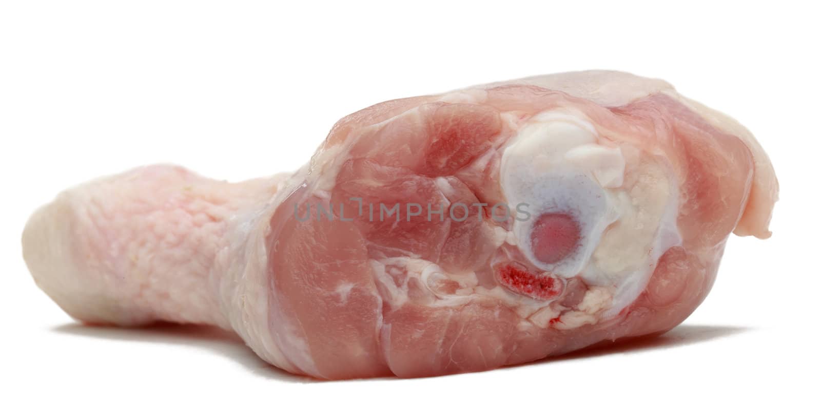 Closeup image of a raw drumstick photographed in a studio against a white background with shadows.