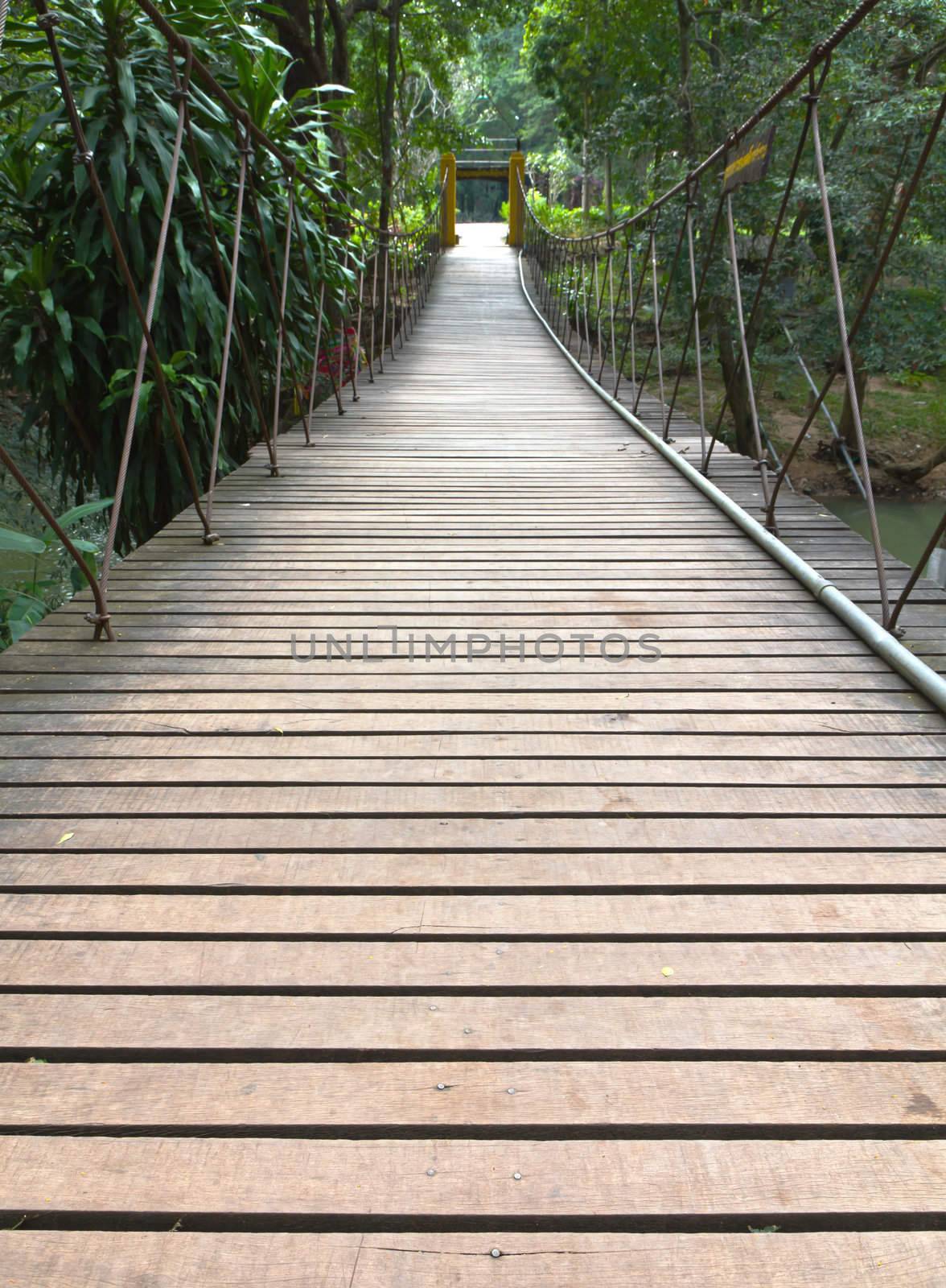 Rope walkway through the treetops in a rain forest