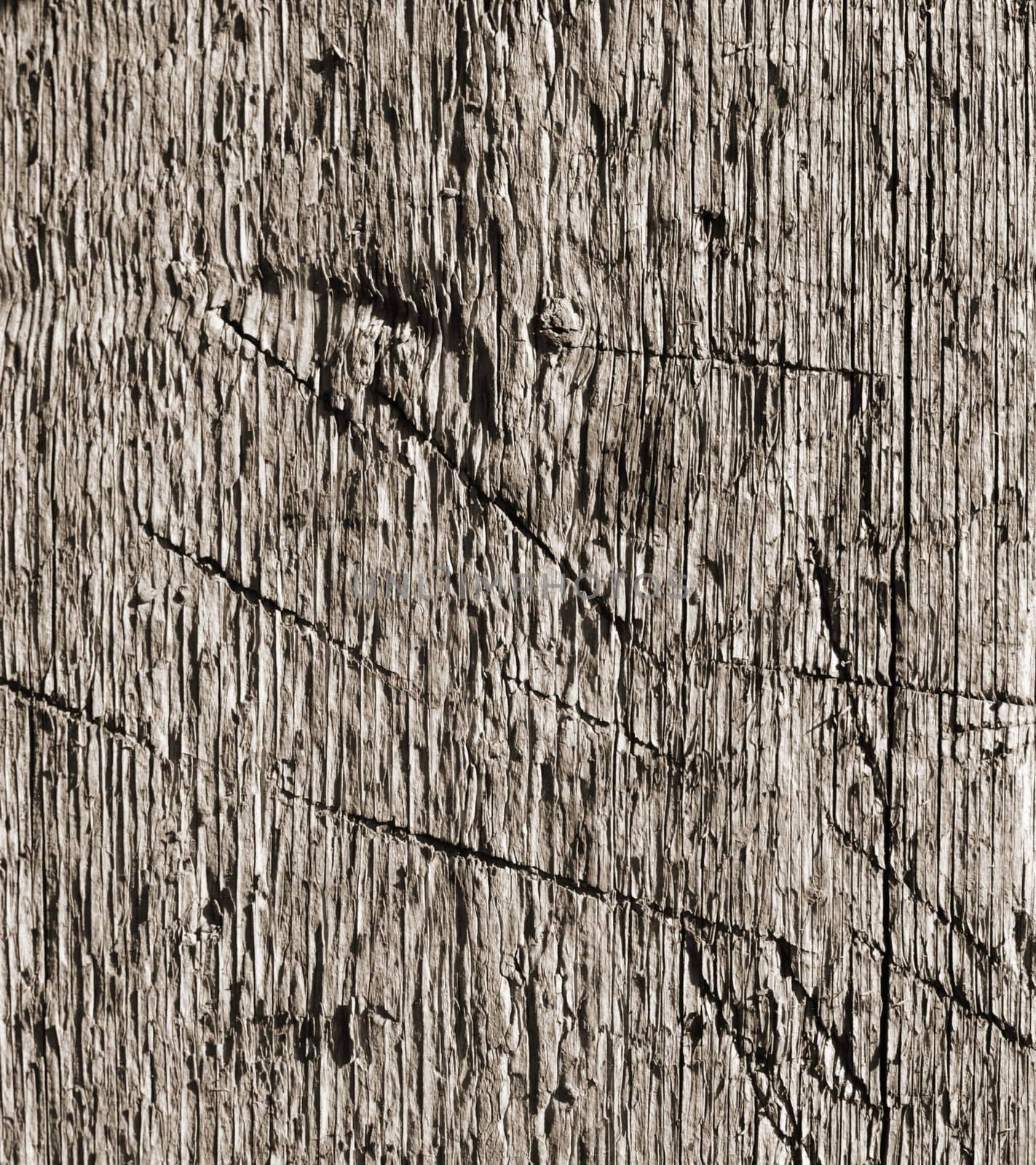 Wooden texture by schankz