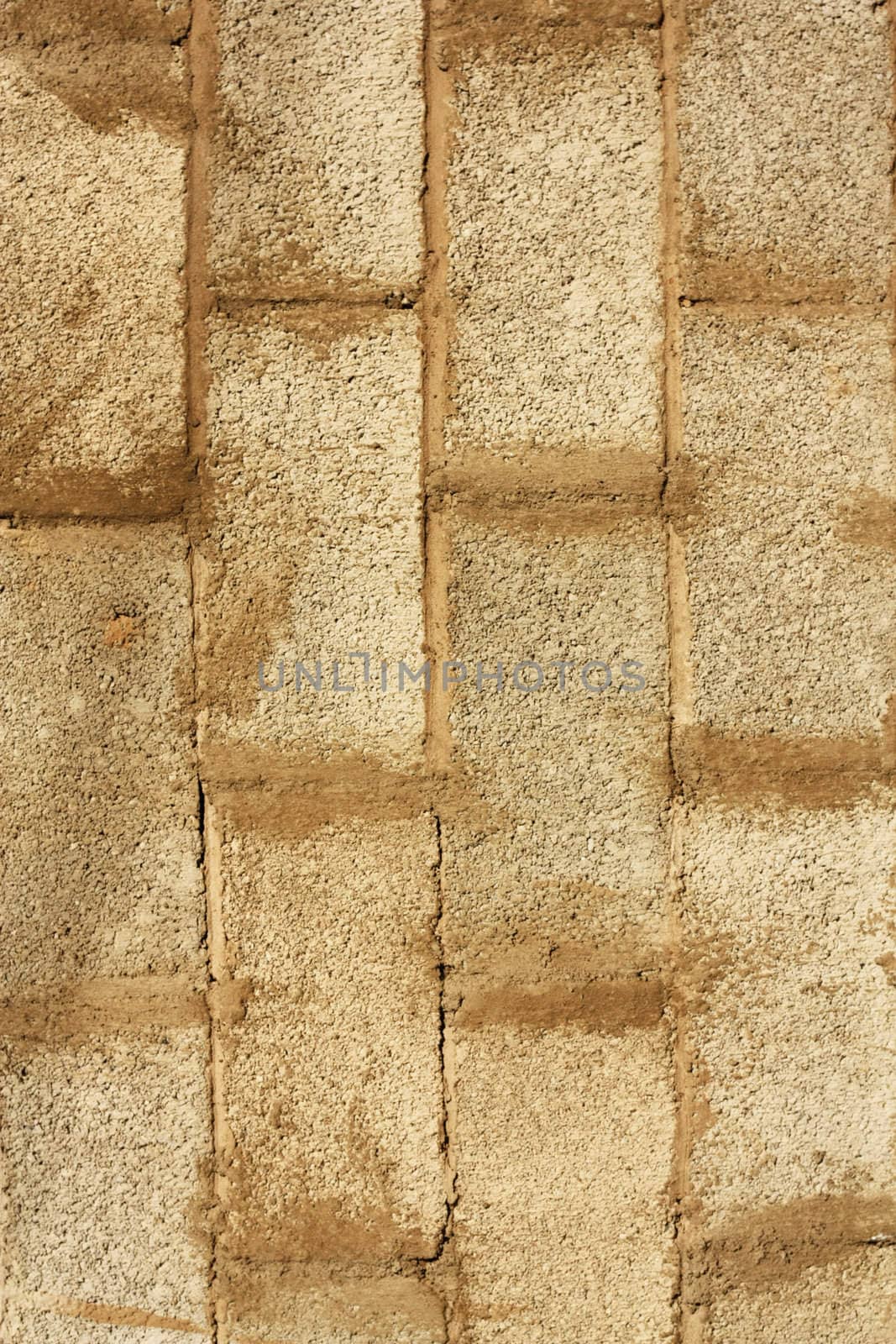 brick wall texture by schankz