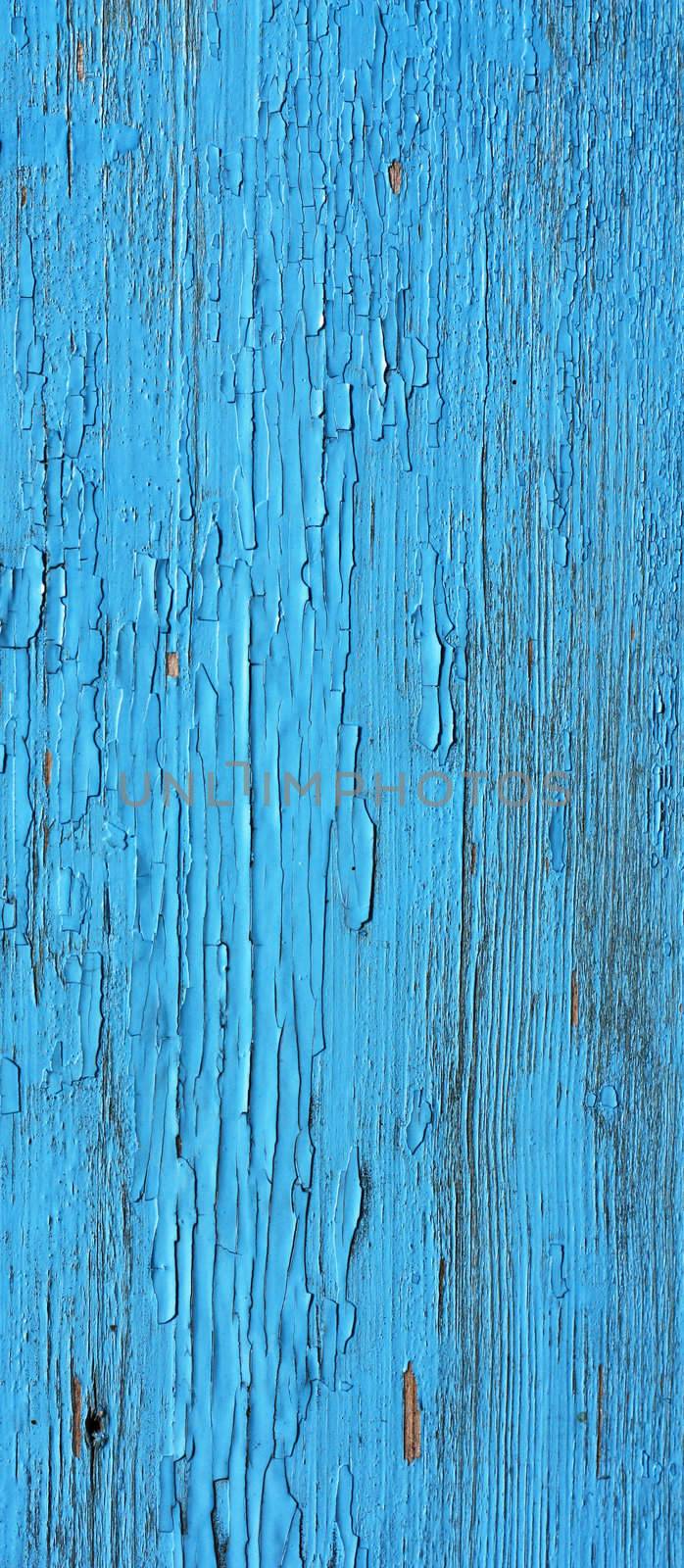 Closing on blue wooden panels of the fence  by schankz