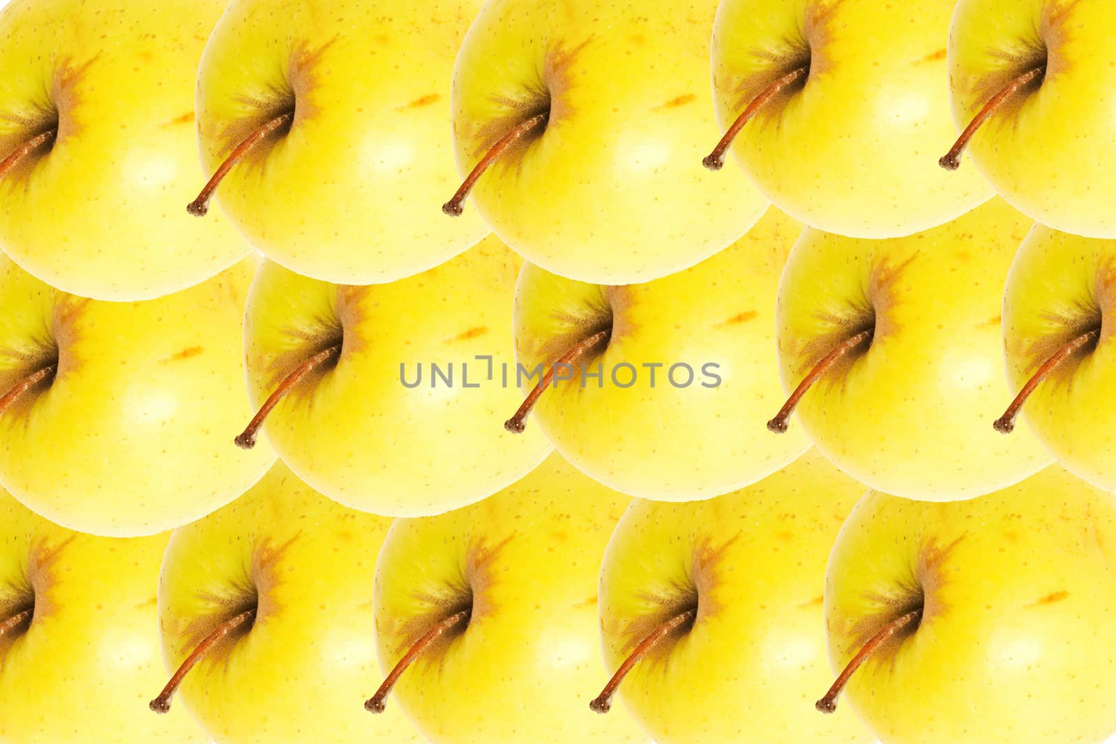 Yellow apples as a background