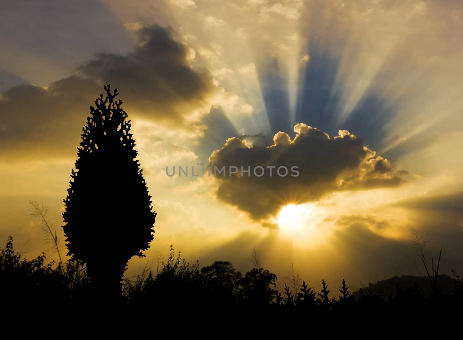 Image of sun shine through rain cloud and christmas tree silhouette