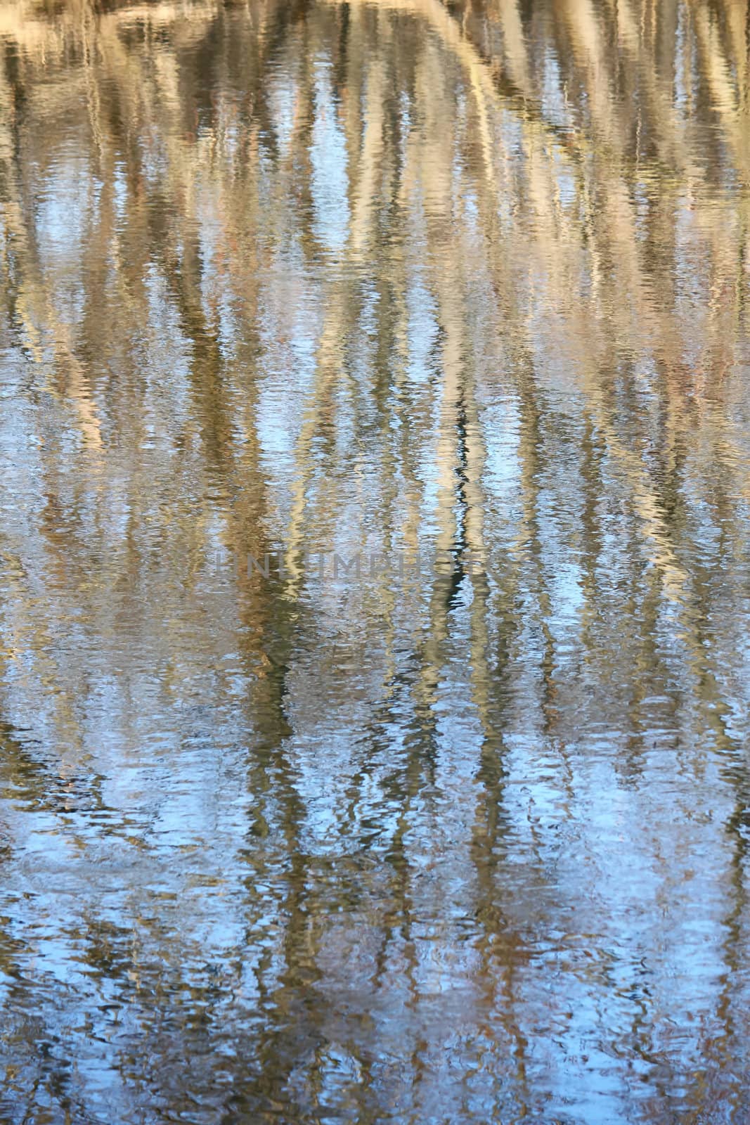 Trees reflect off the surface of the Kishwaukee River in northern Illinois.