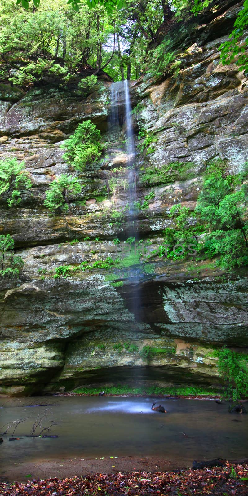 Spring rains create a waterfall in Hidden Canyon of Starved Rock State Park in Illinois.