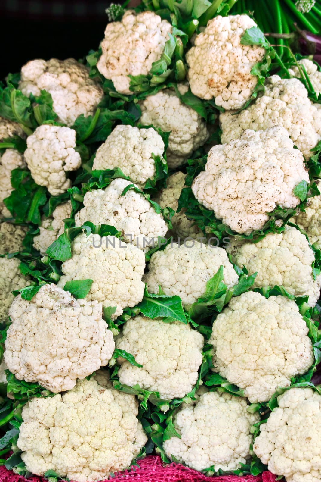 A lots ripe cauliflower in the market