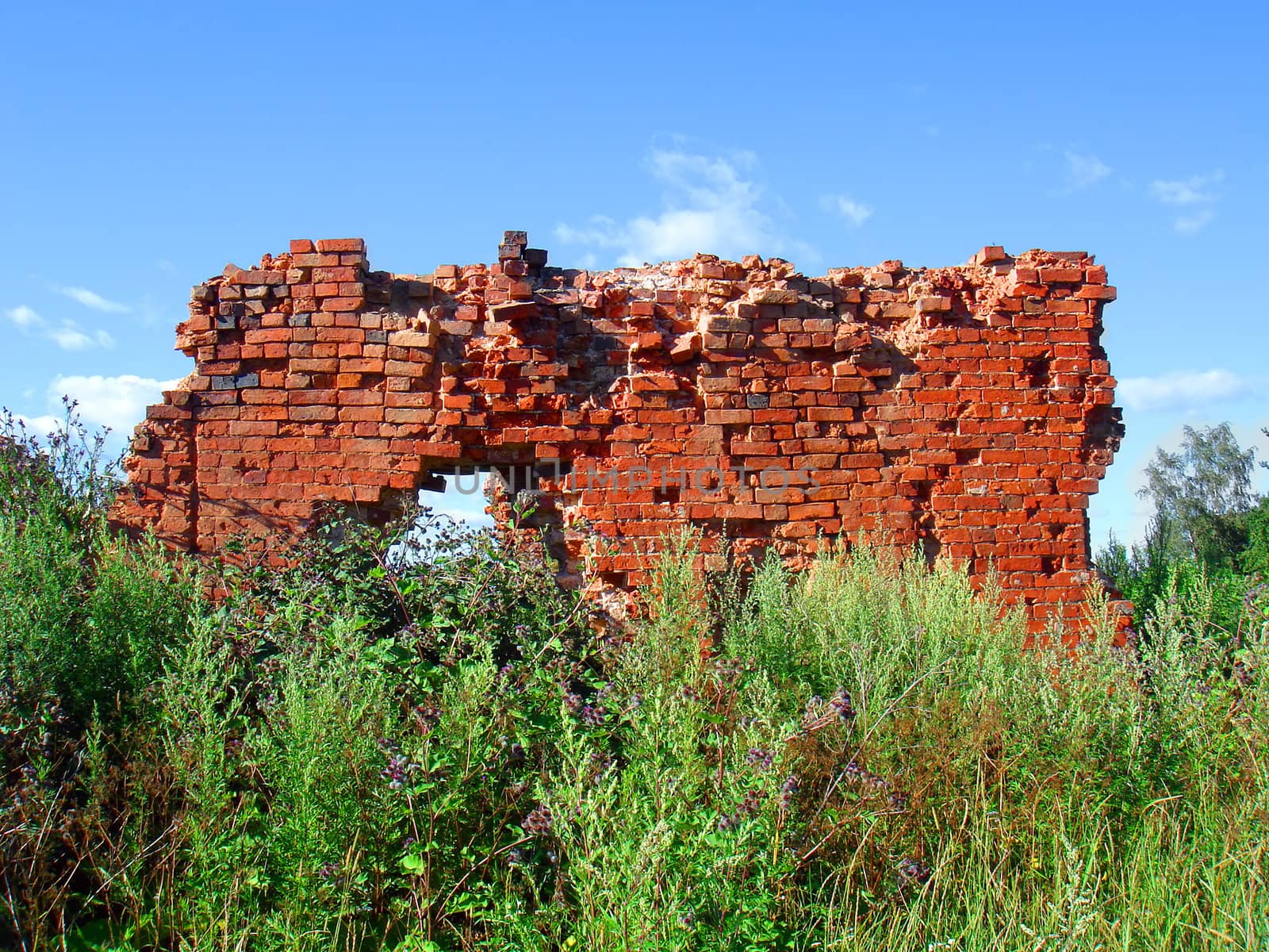 destroyed brick wall