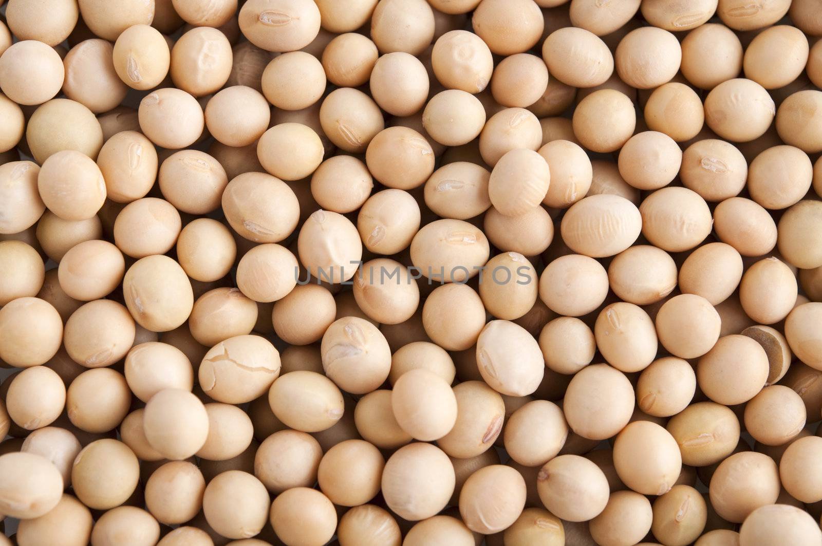 Organic soybeans background, non-genetic modified.