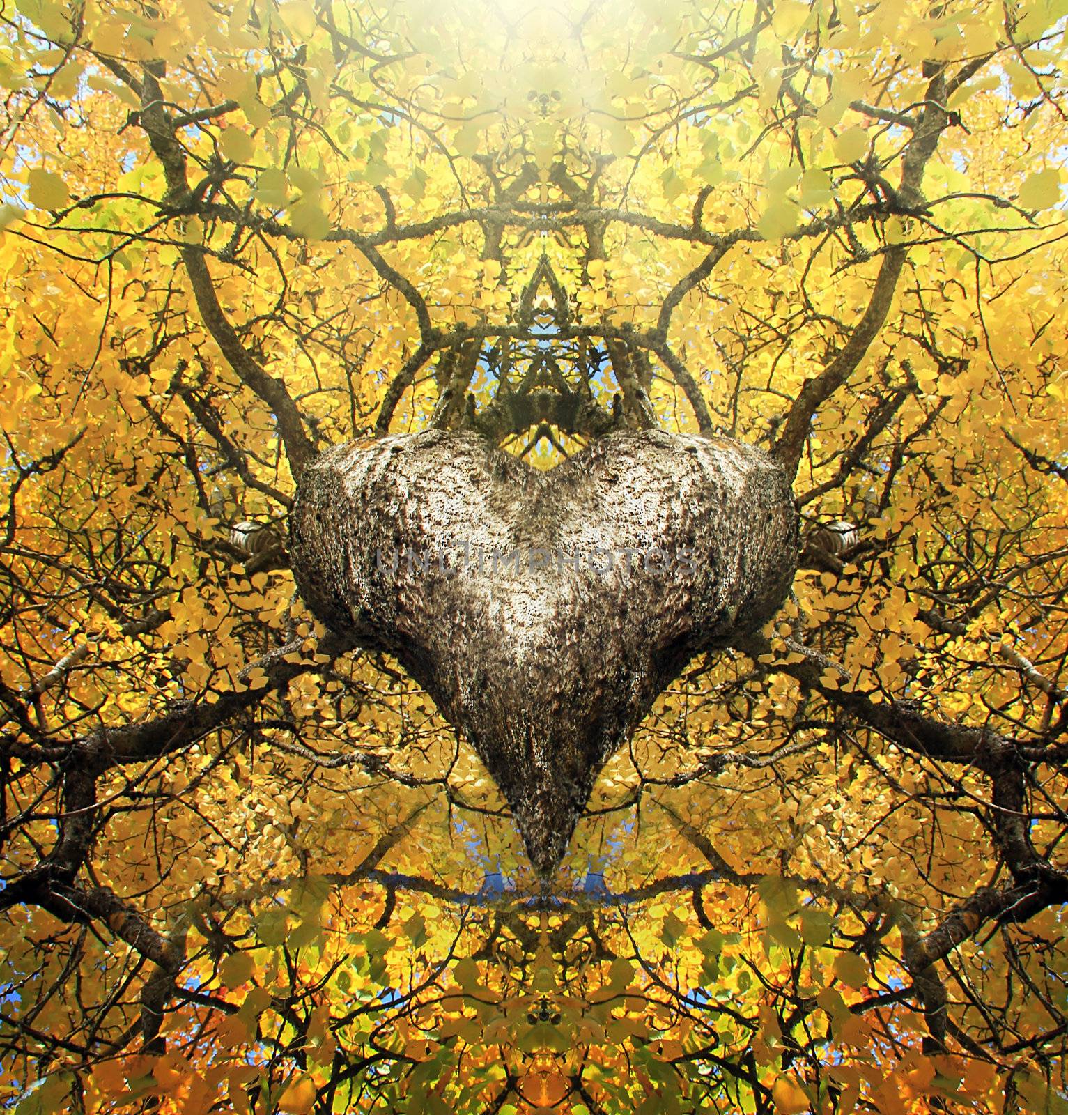 abstract heart in the tree with branches