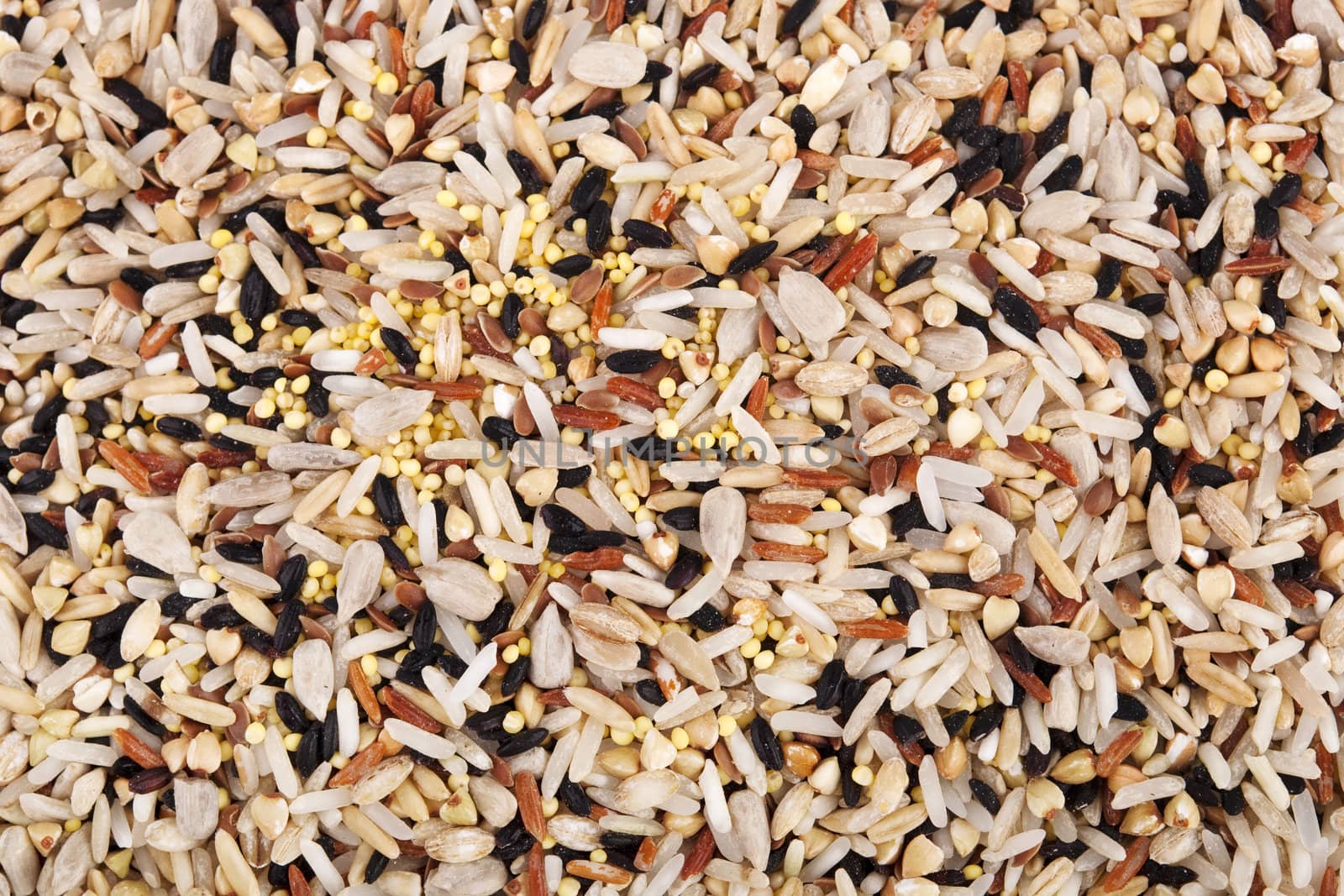 Raw grains background, mixed with 12 different grains