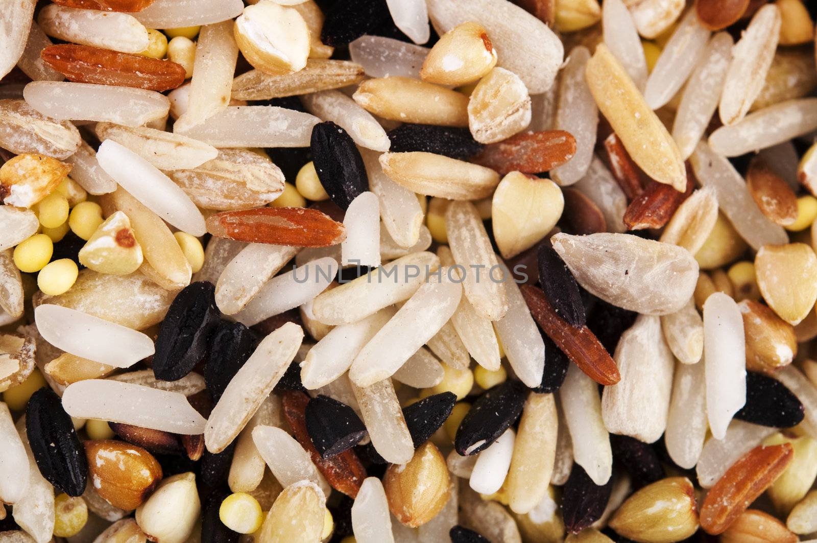 Raw grains background, mixed with 12 different grains