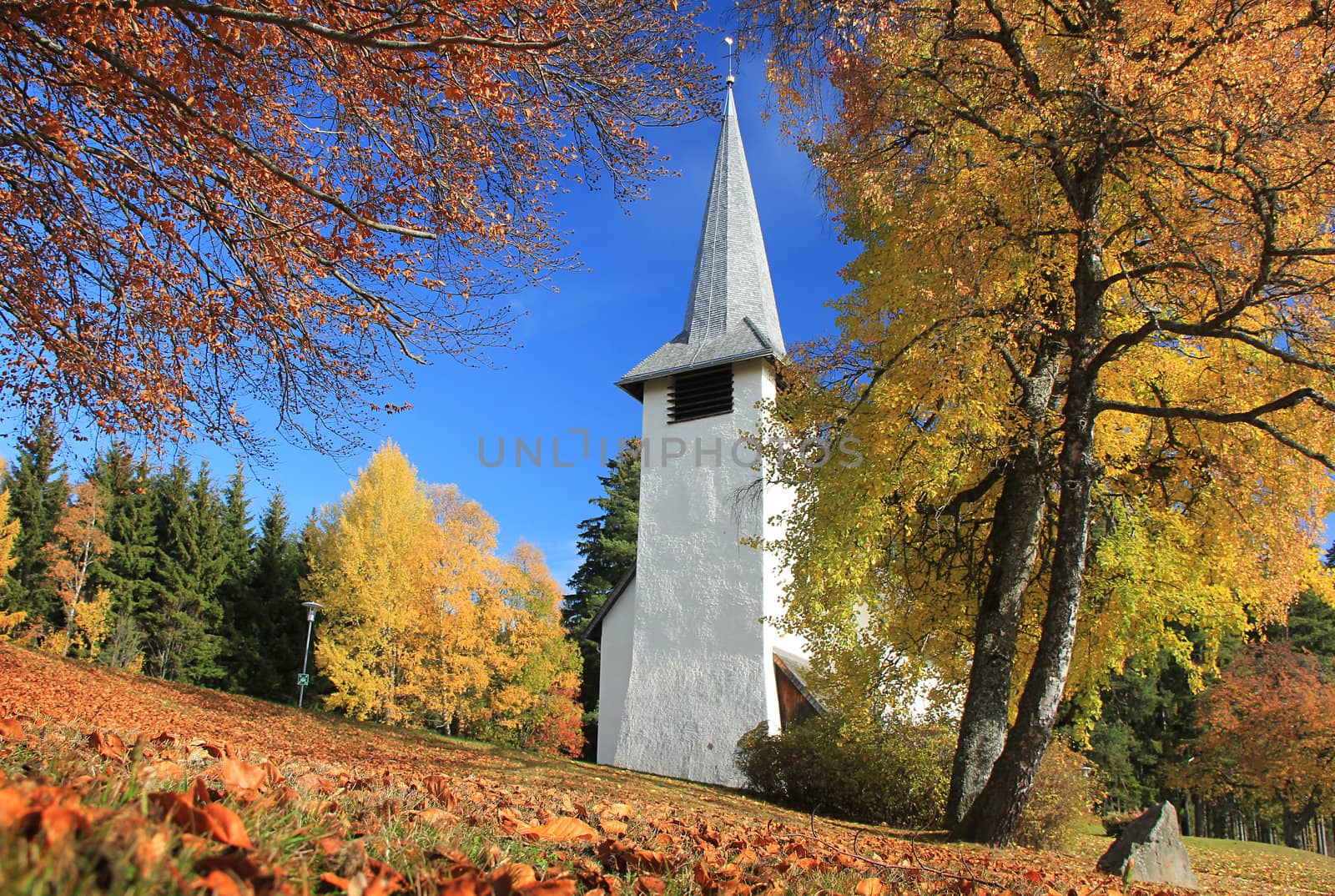 nice church with yellow and orange colored trees of the autumn