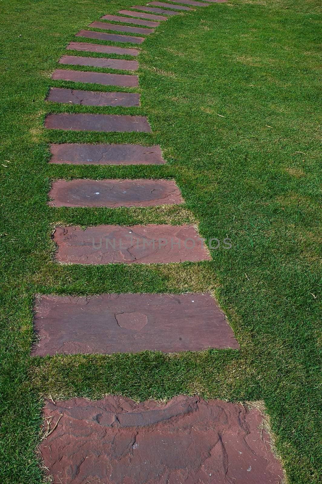 Tilled footpath on the green lawn. Tranquil natural scene.