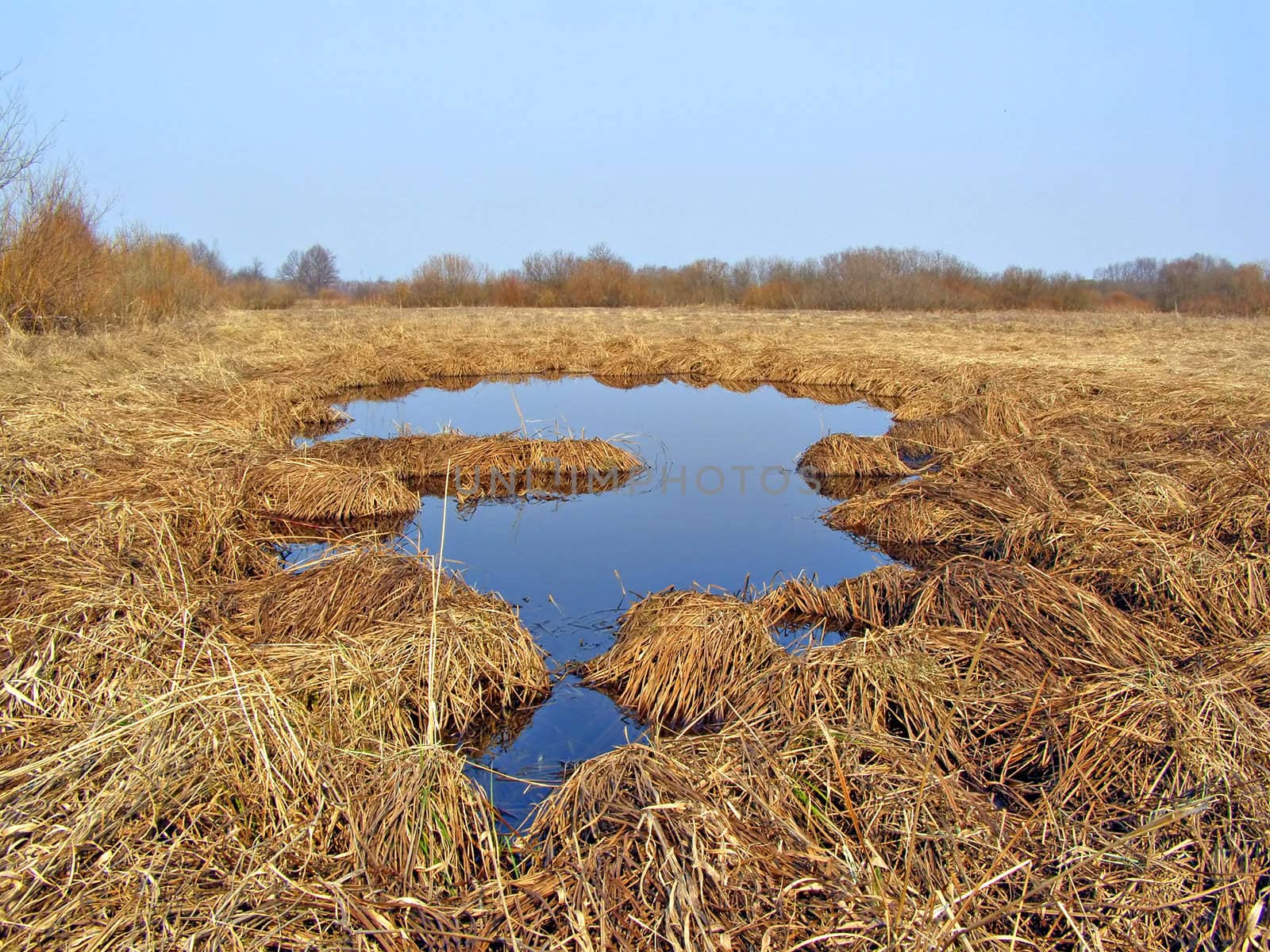 small lake on yellow field