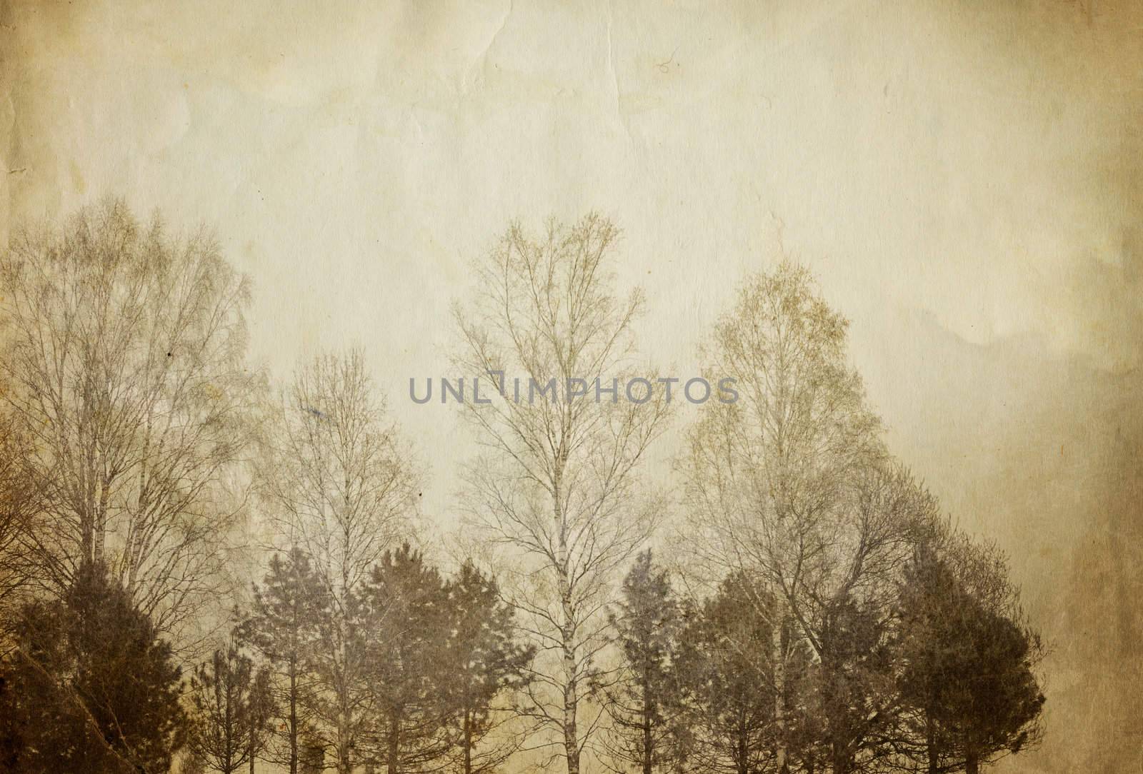 Trees on vintage paper sheet. by pashabo
