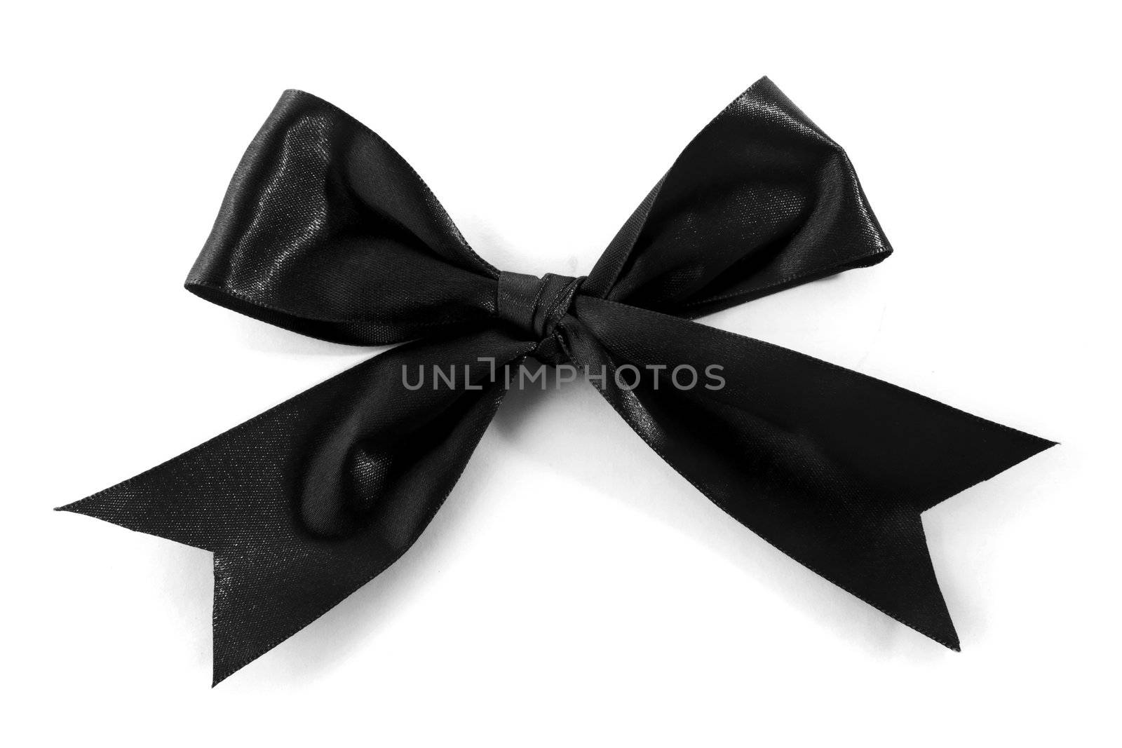 Single Black Bow isolated on white background