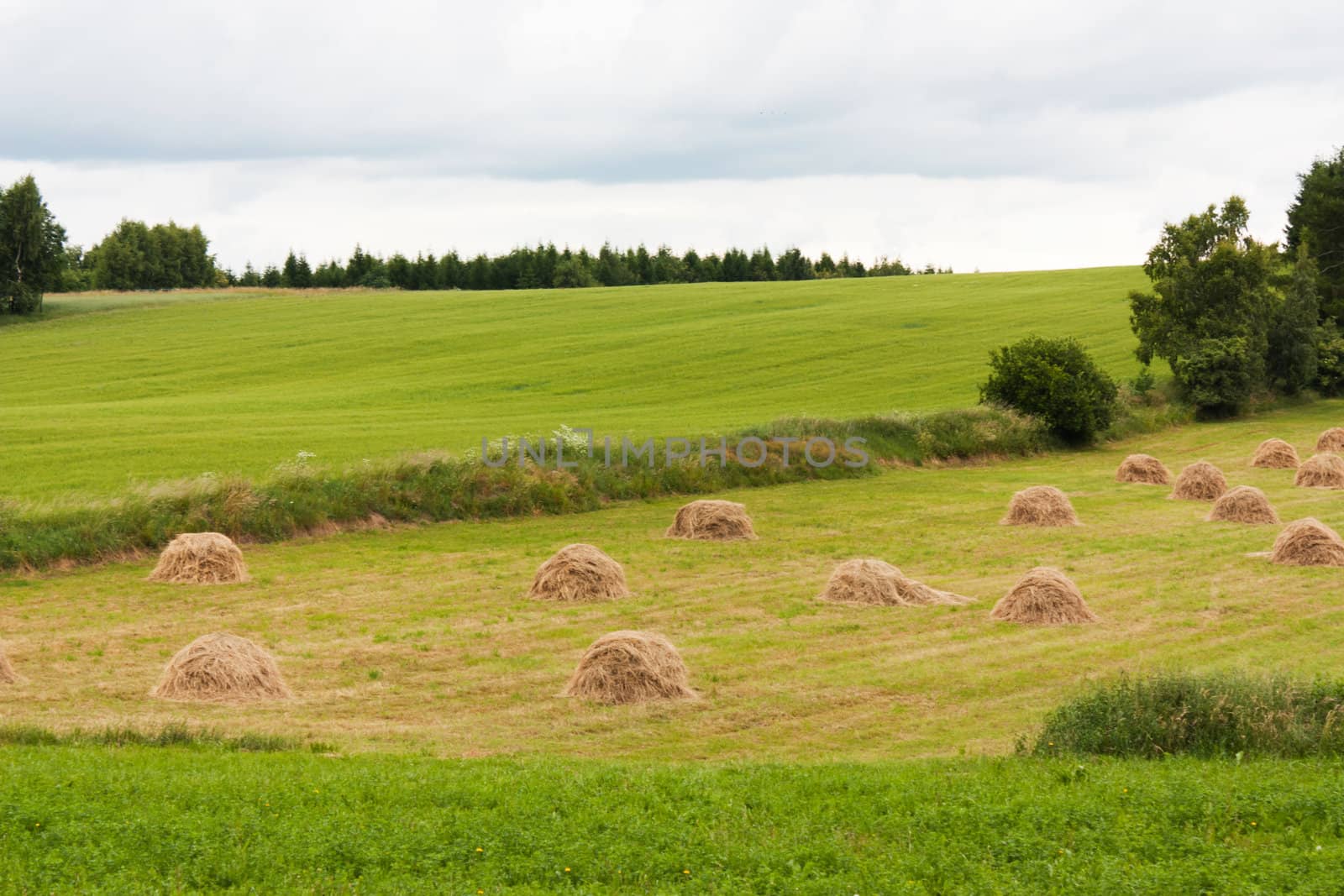 Agricultural landscape in Czech Republic, Europe