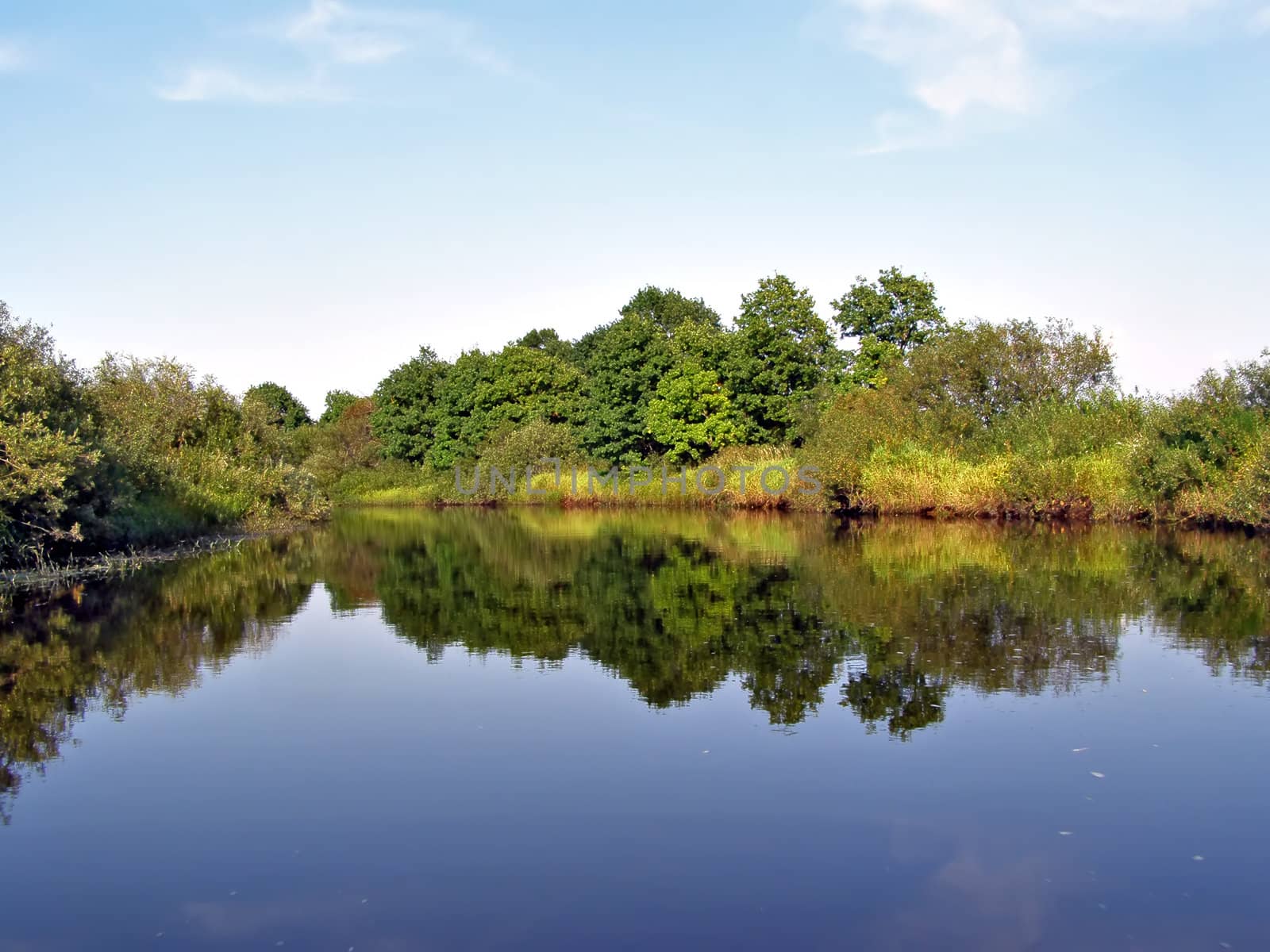 riverside wood