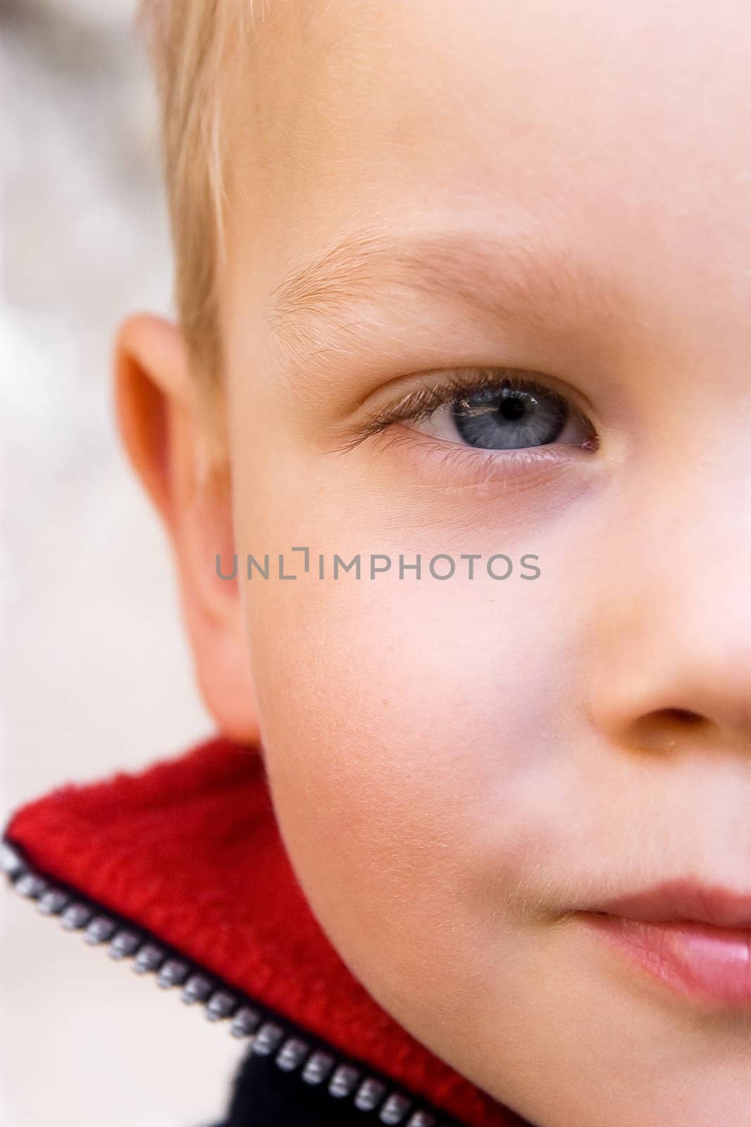 A cute young boy portrait