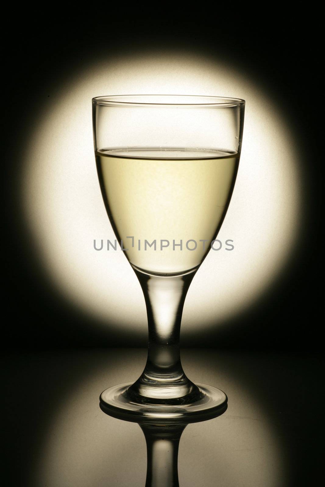 sparkling champagne wine glasses shot in studio