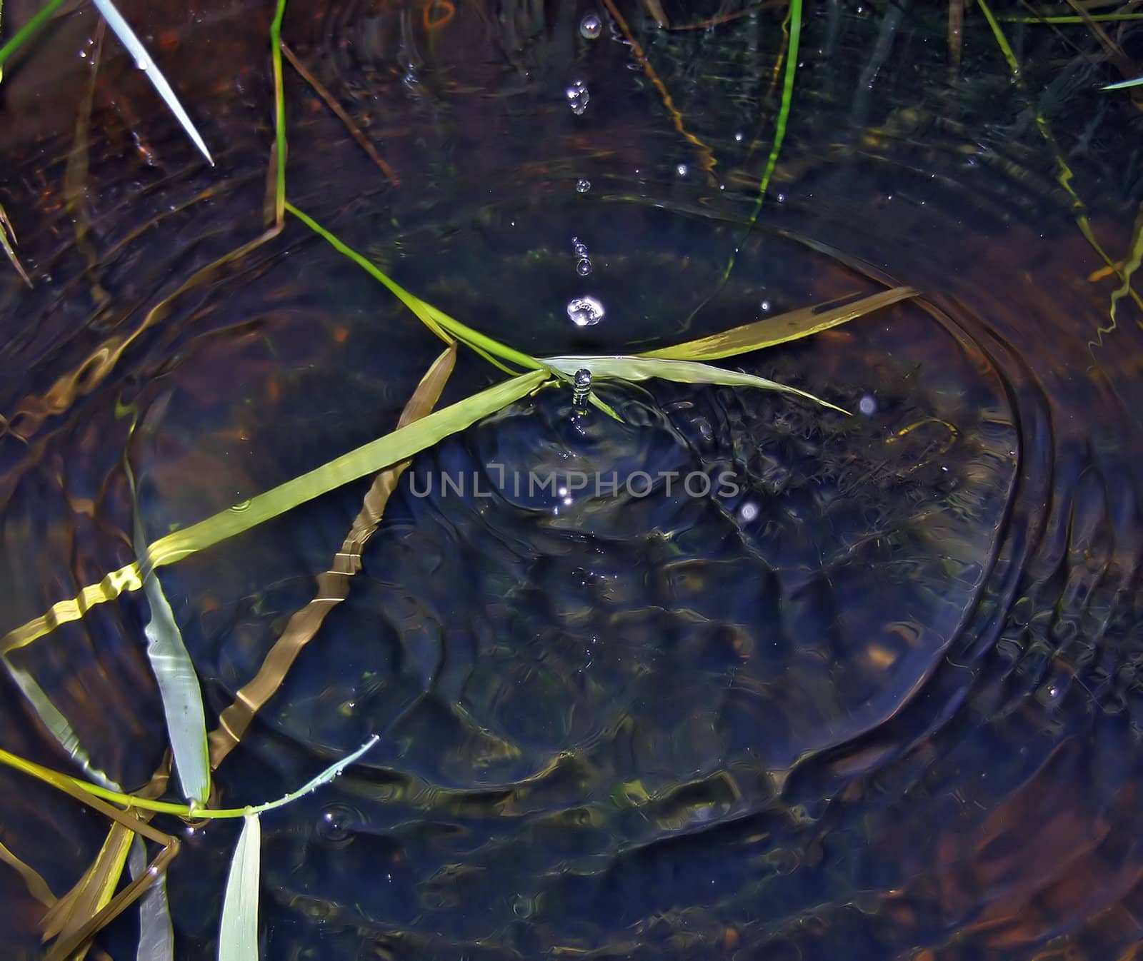 drop rain tumbled in water