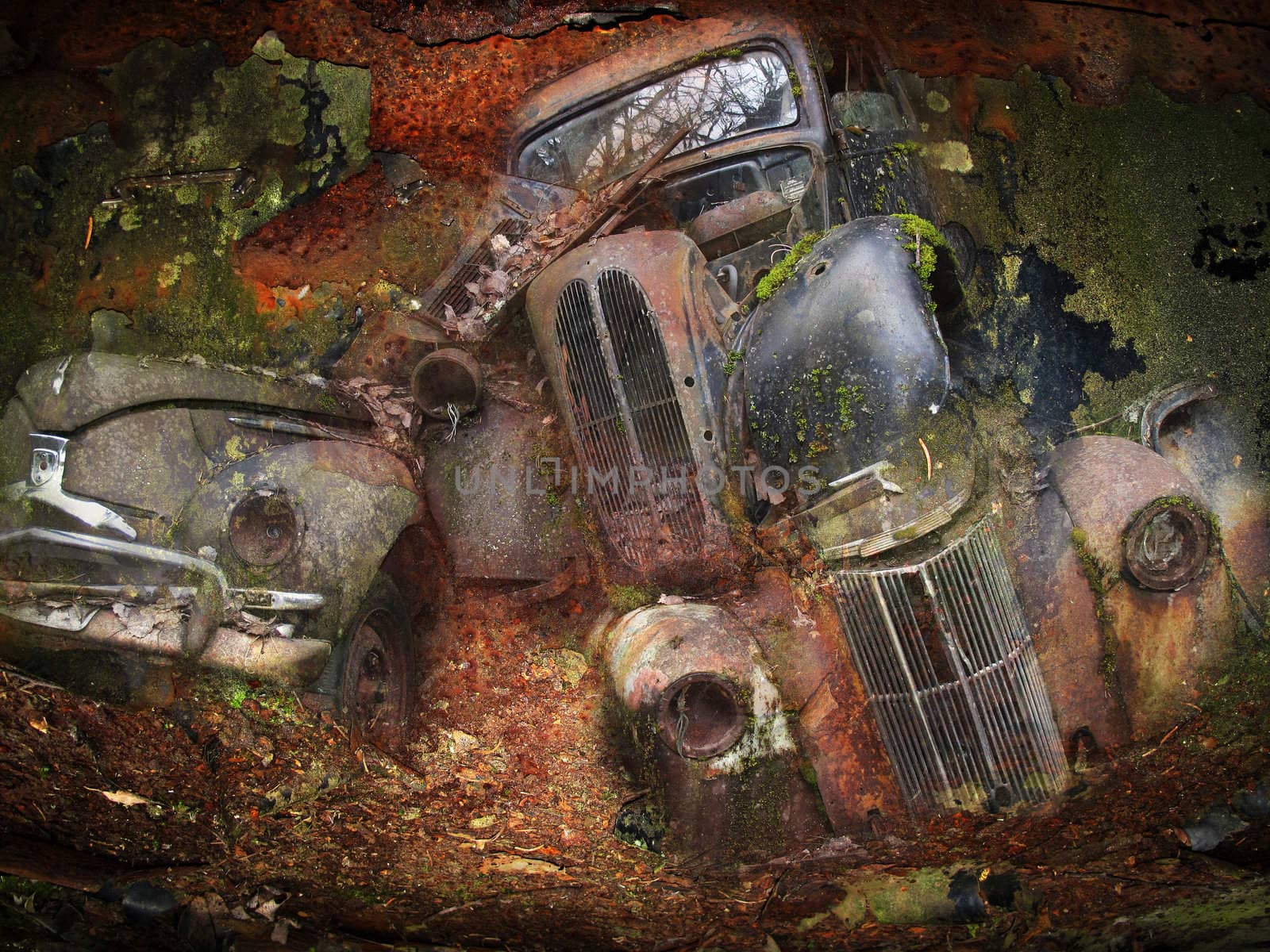 Once upon a time there were some automobiles. More of my photos worked together to underline time and decay. From the series scrap in the wood.