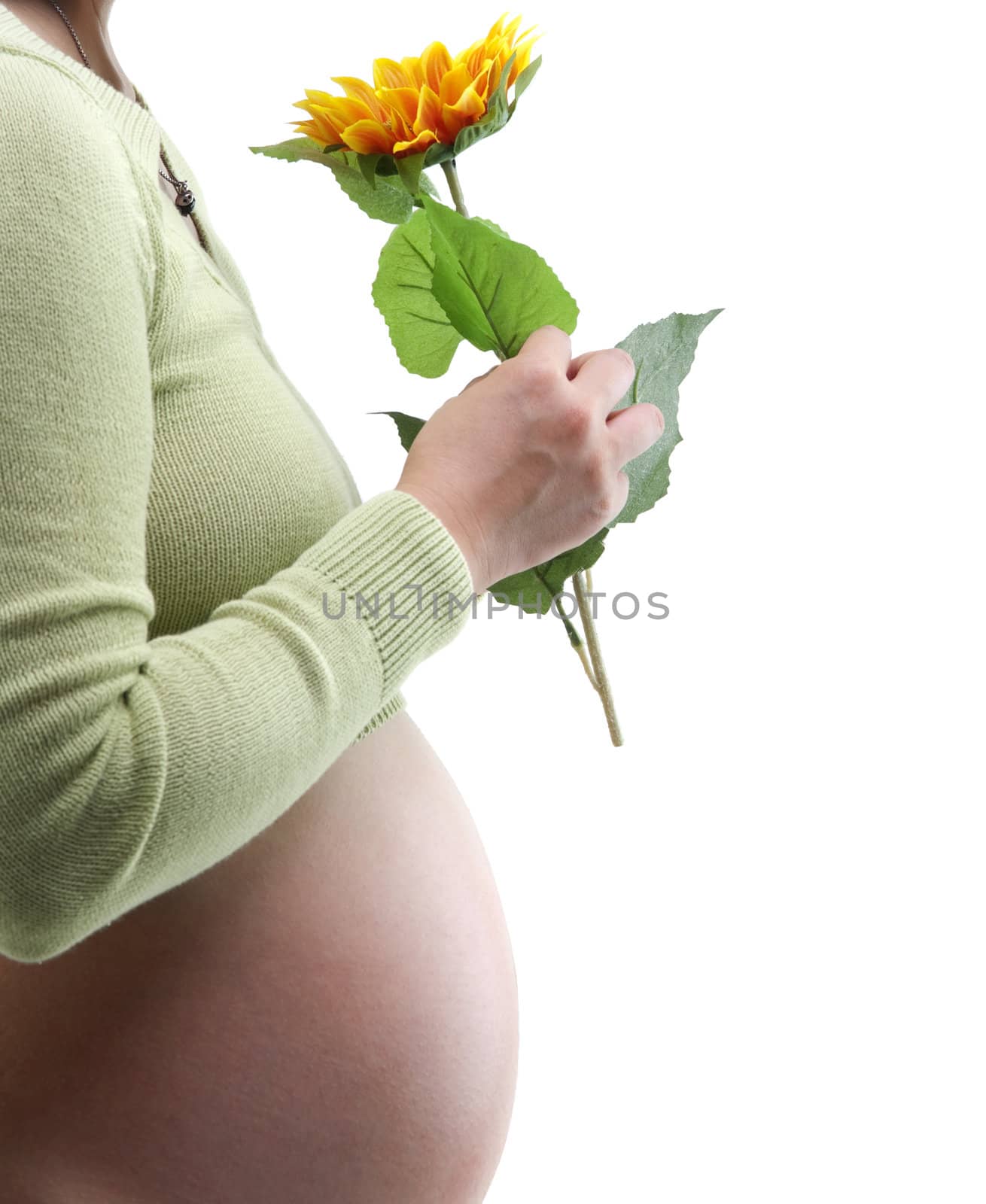 Young Mother holding a sunflower on white background