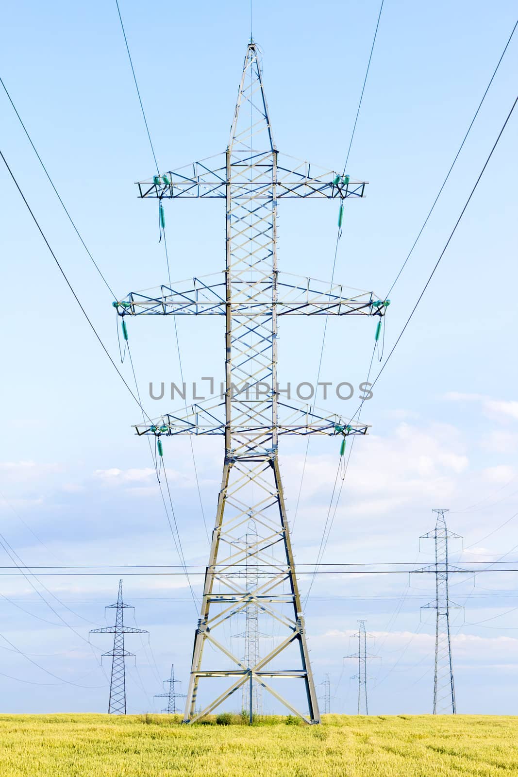 several transmission lines in the middle of a wheat field
