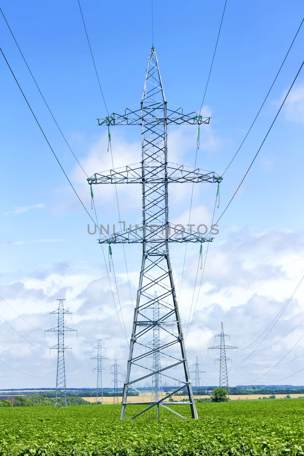 several transmission lines in the middle of a  field