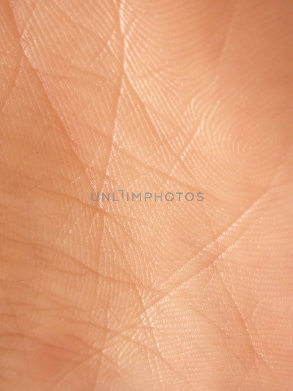 Close-up of the palm of a hand