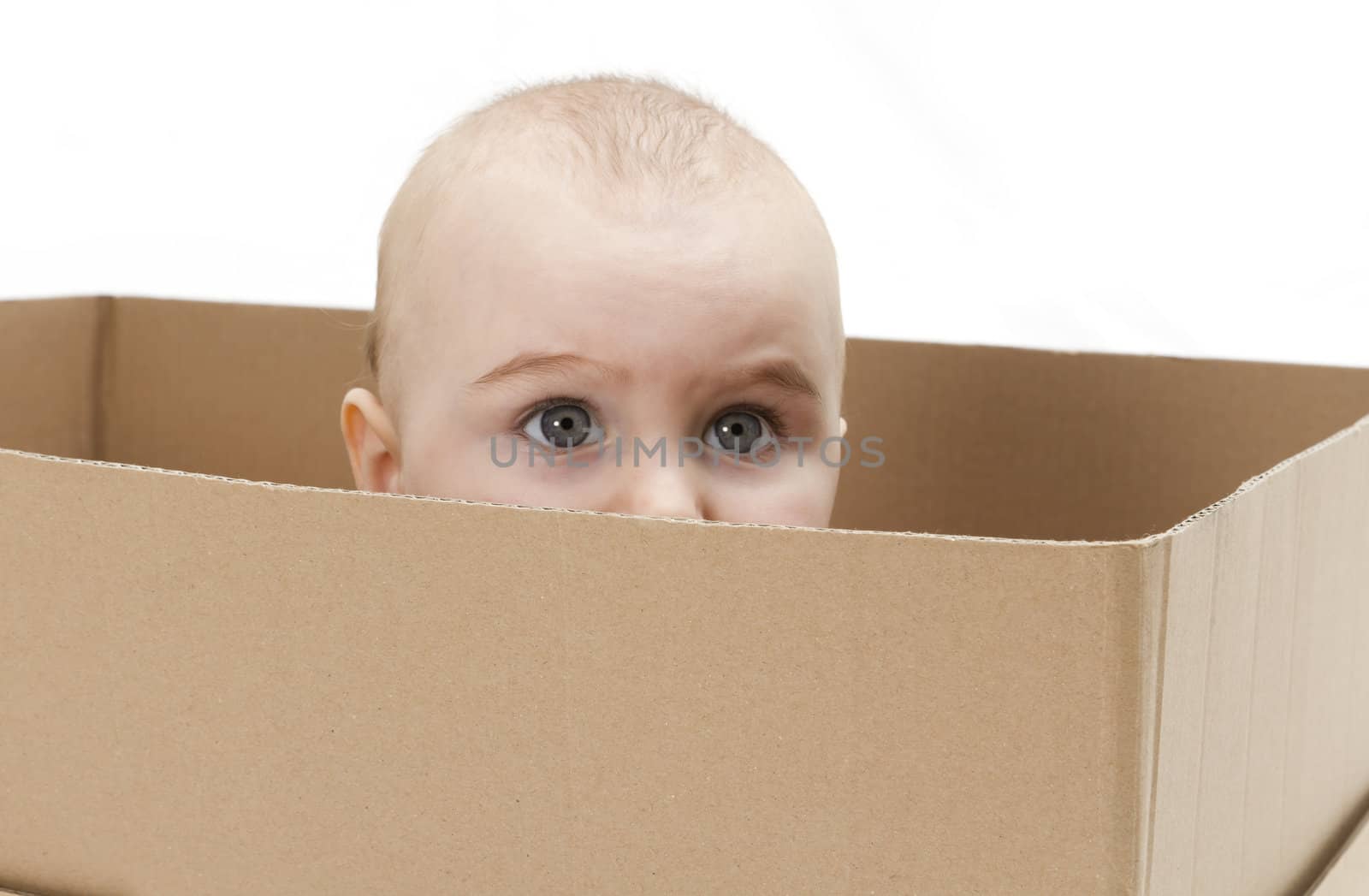 young child in cardboard box by gewoldi