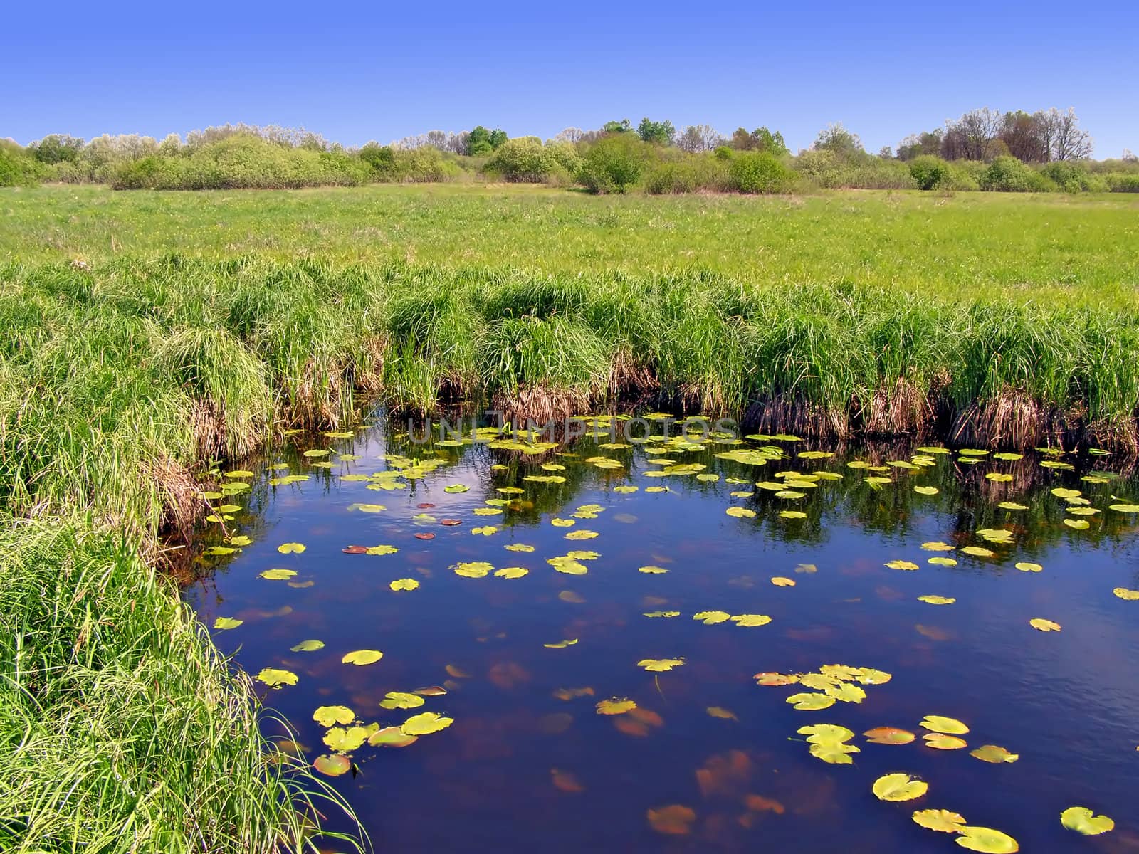 small lake on green field