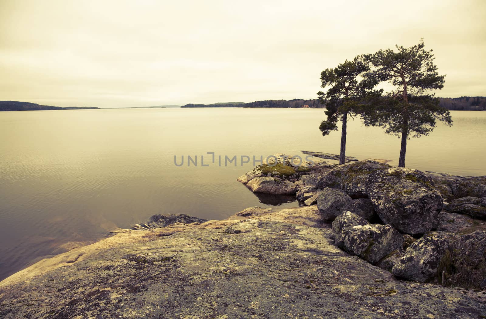 Retro tranquillity by a Swedish lake at summertime. Cross processed to reflct age and time.