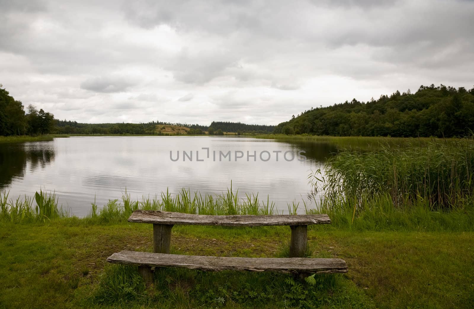 Beautiful old bench by the likeside somewhere in Denmark on an overcast day. Space for text.