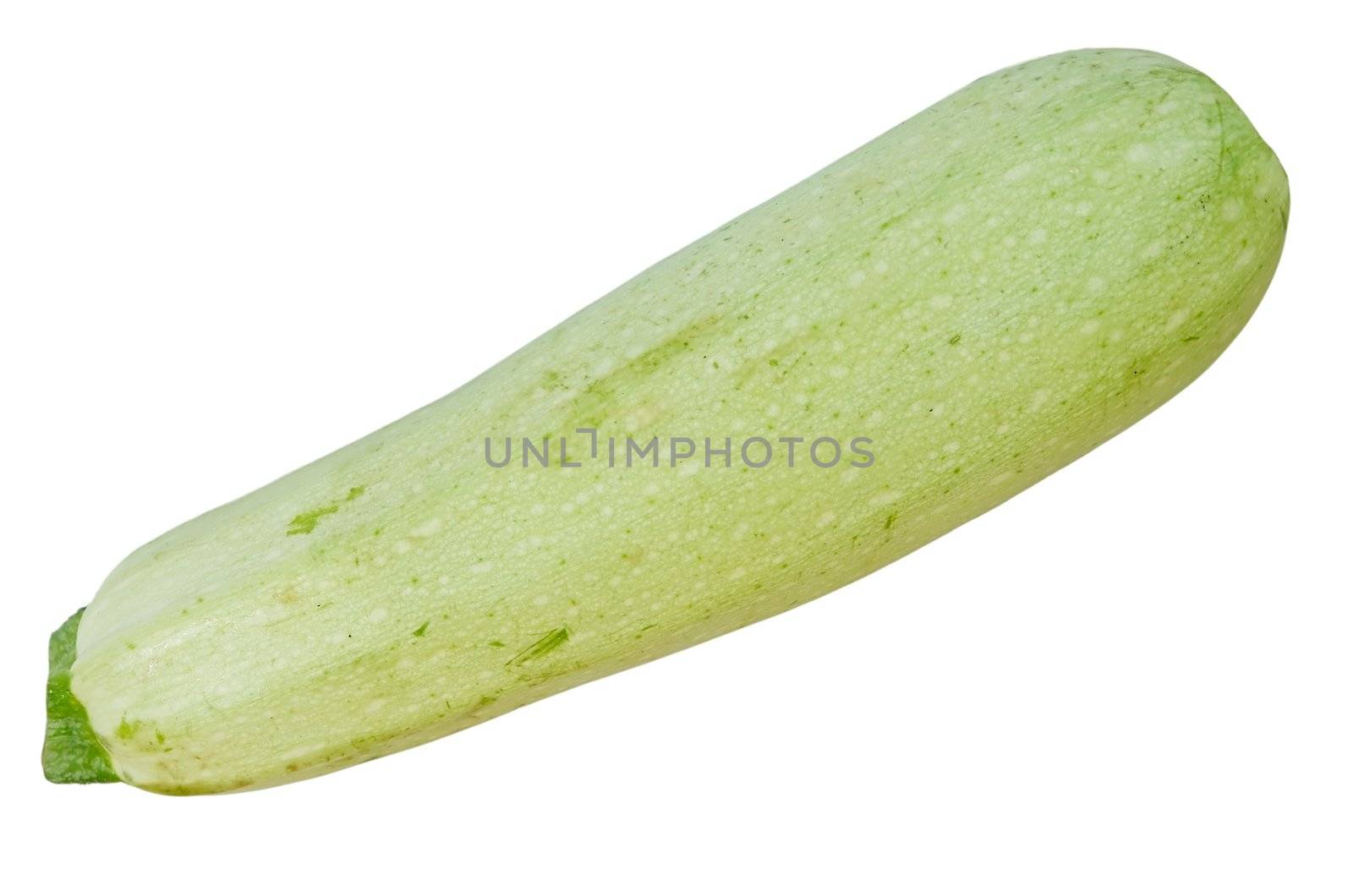 green summer squash against the white background)