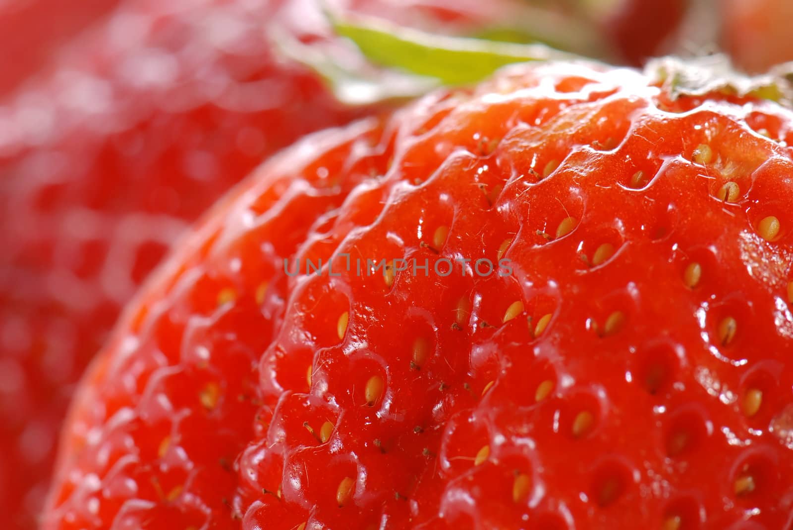 Strawberries in close-up