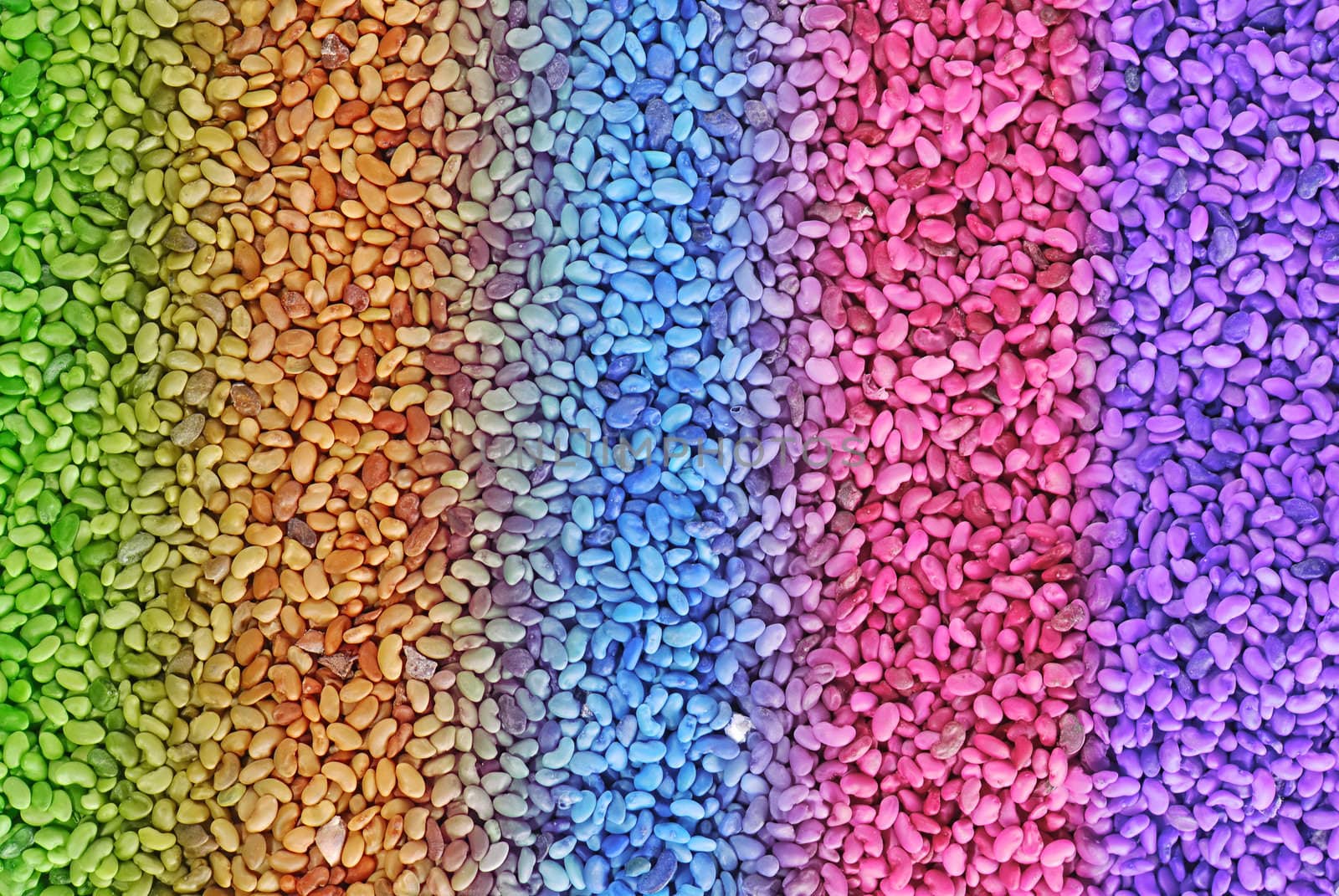 Colorful seeds in close-up