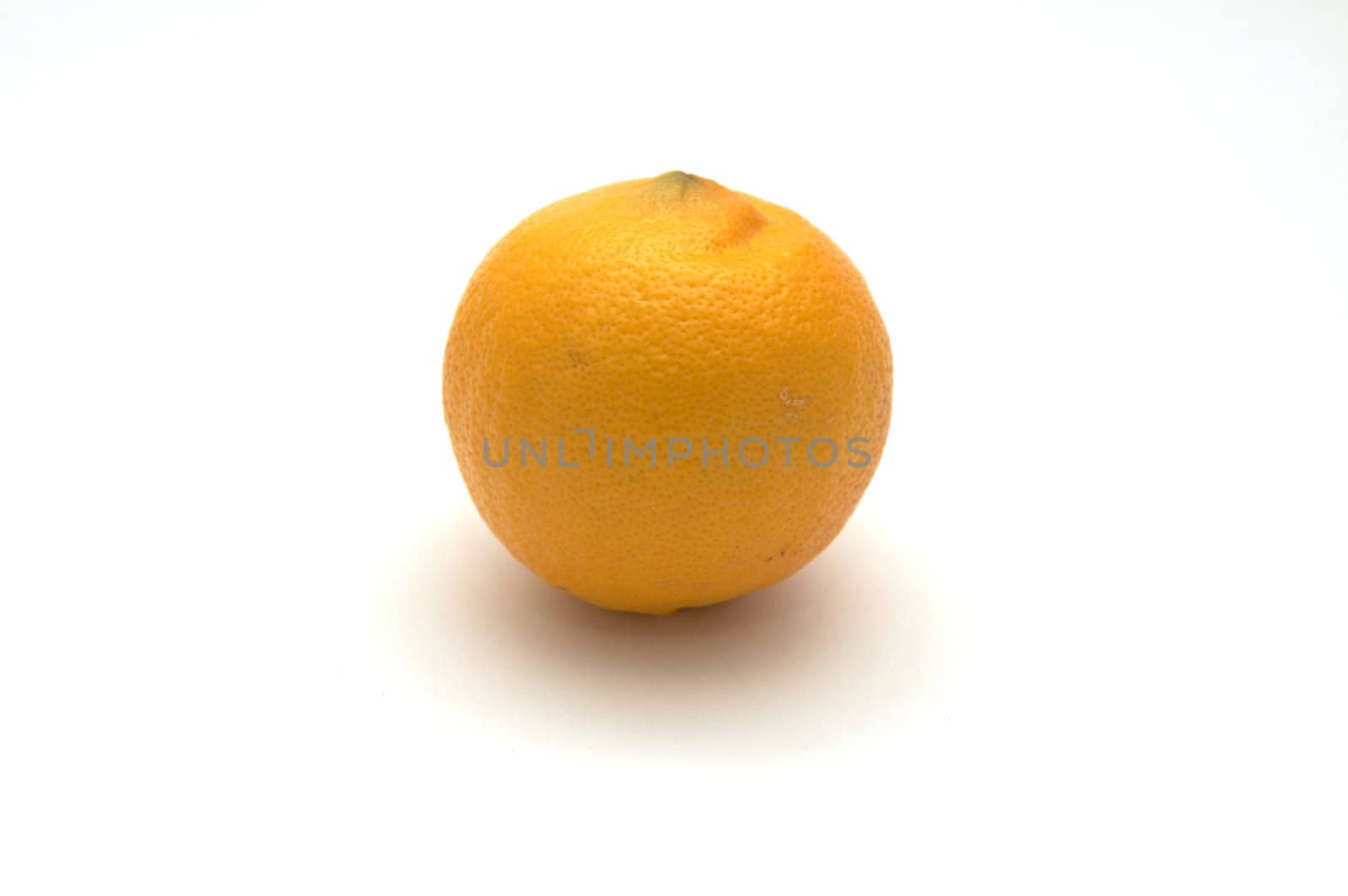 Lemon on a white background