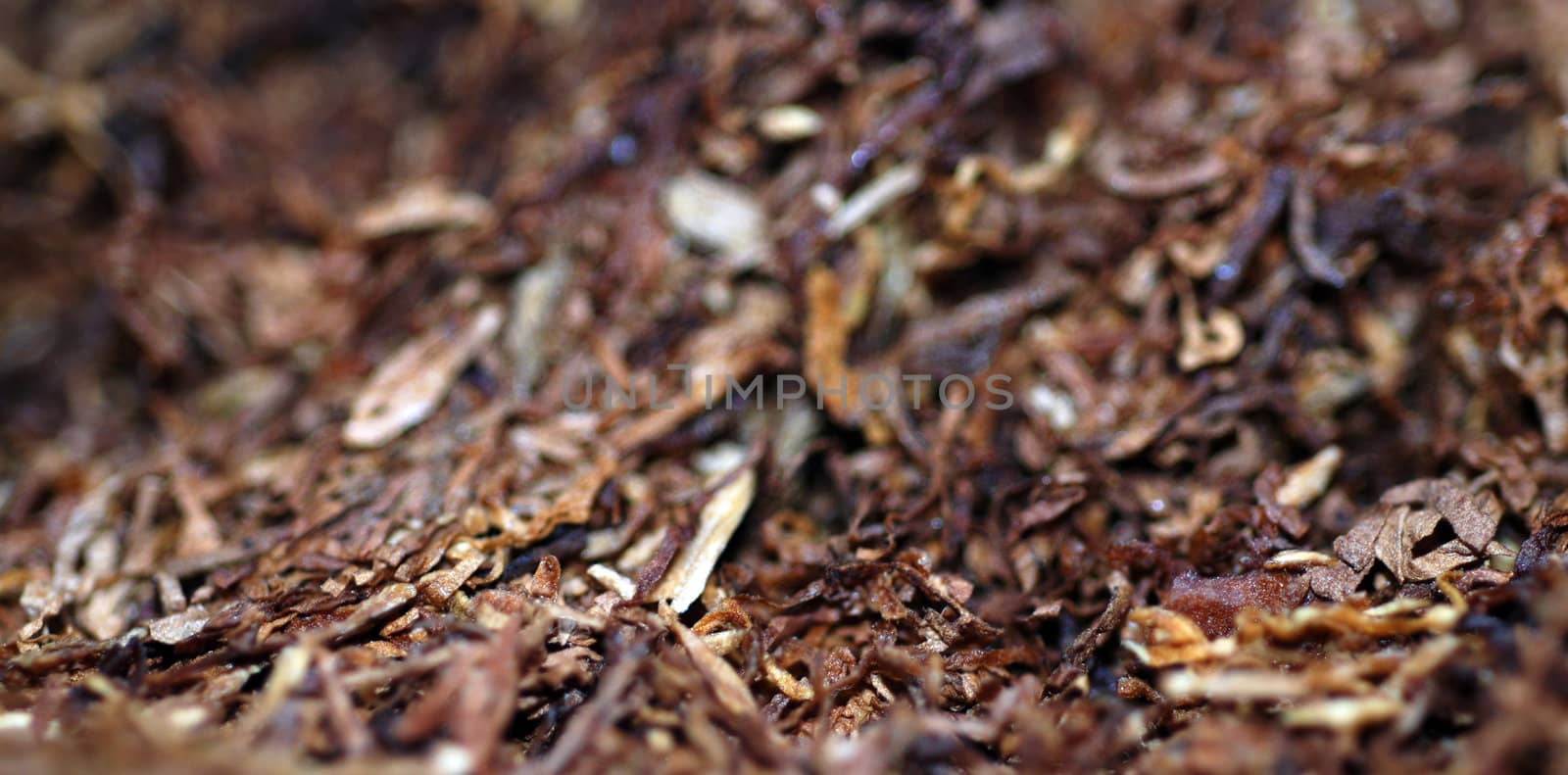 A macro shot of tobacco, ready to roll into a cigarette