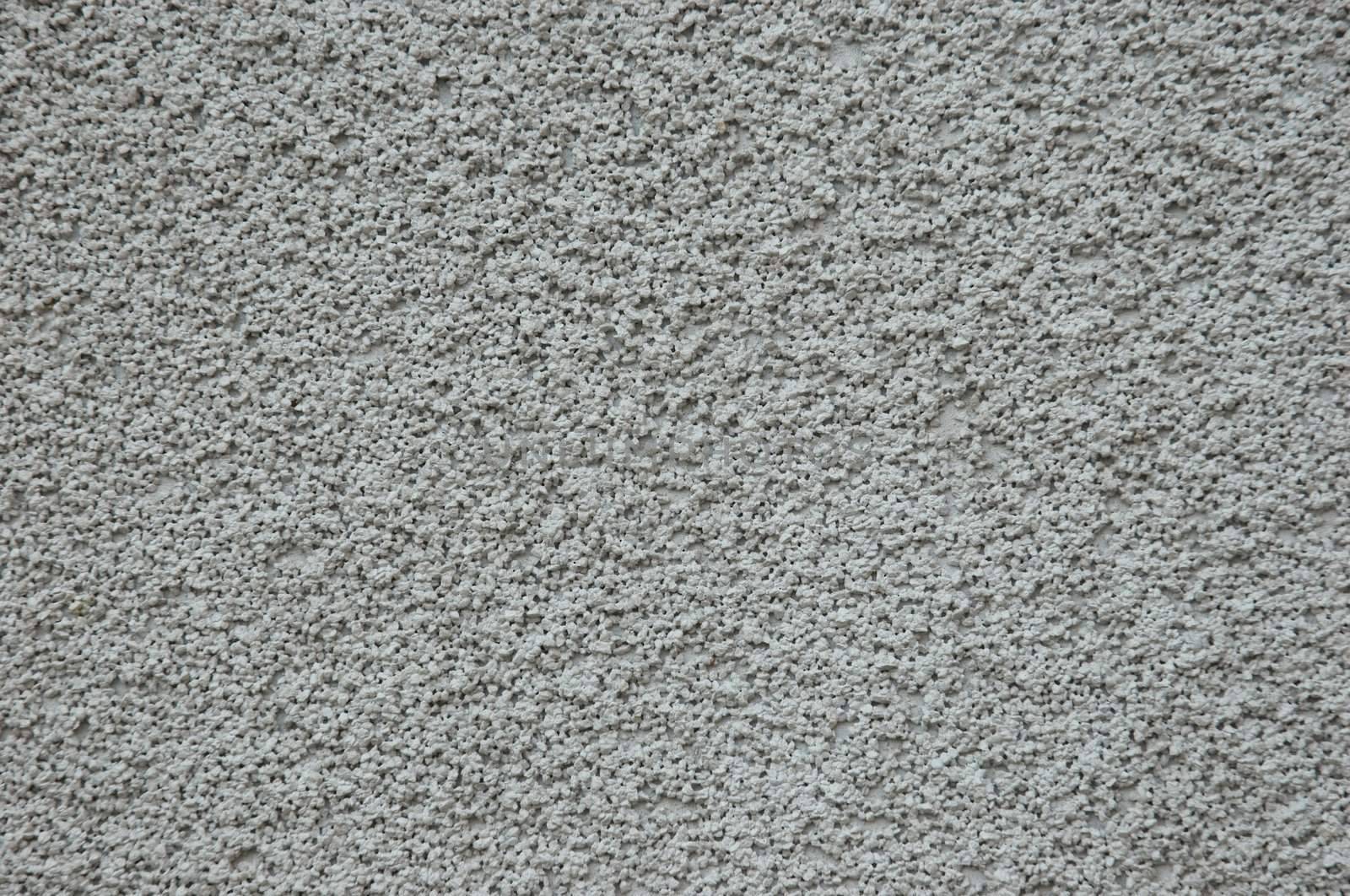 Natural concrete texture � specific plaster (rough grade)