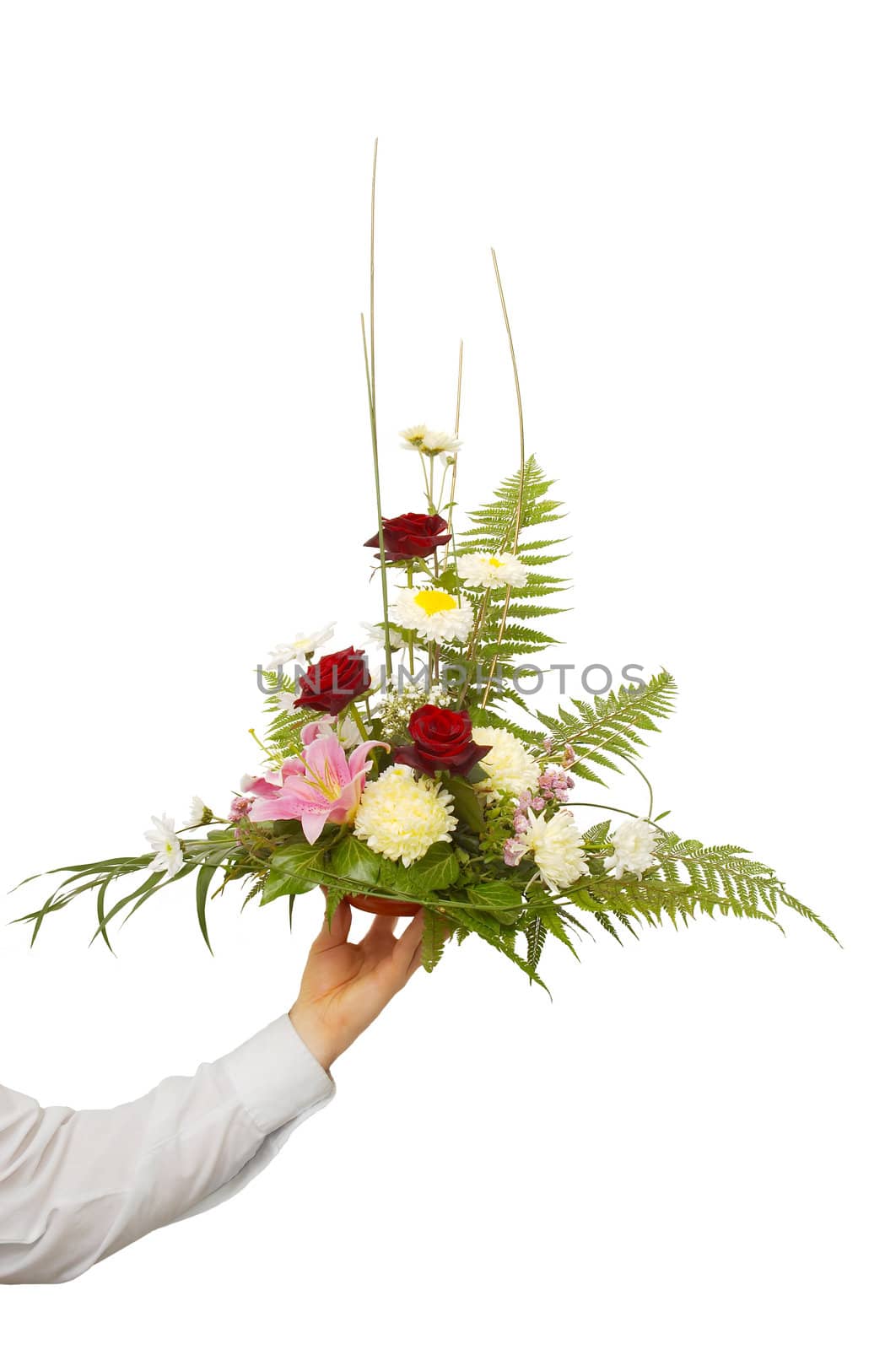 presentation of a bouquet  by starush