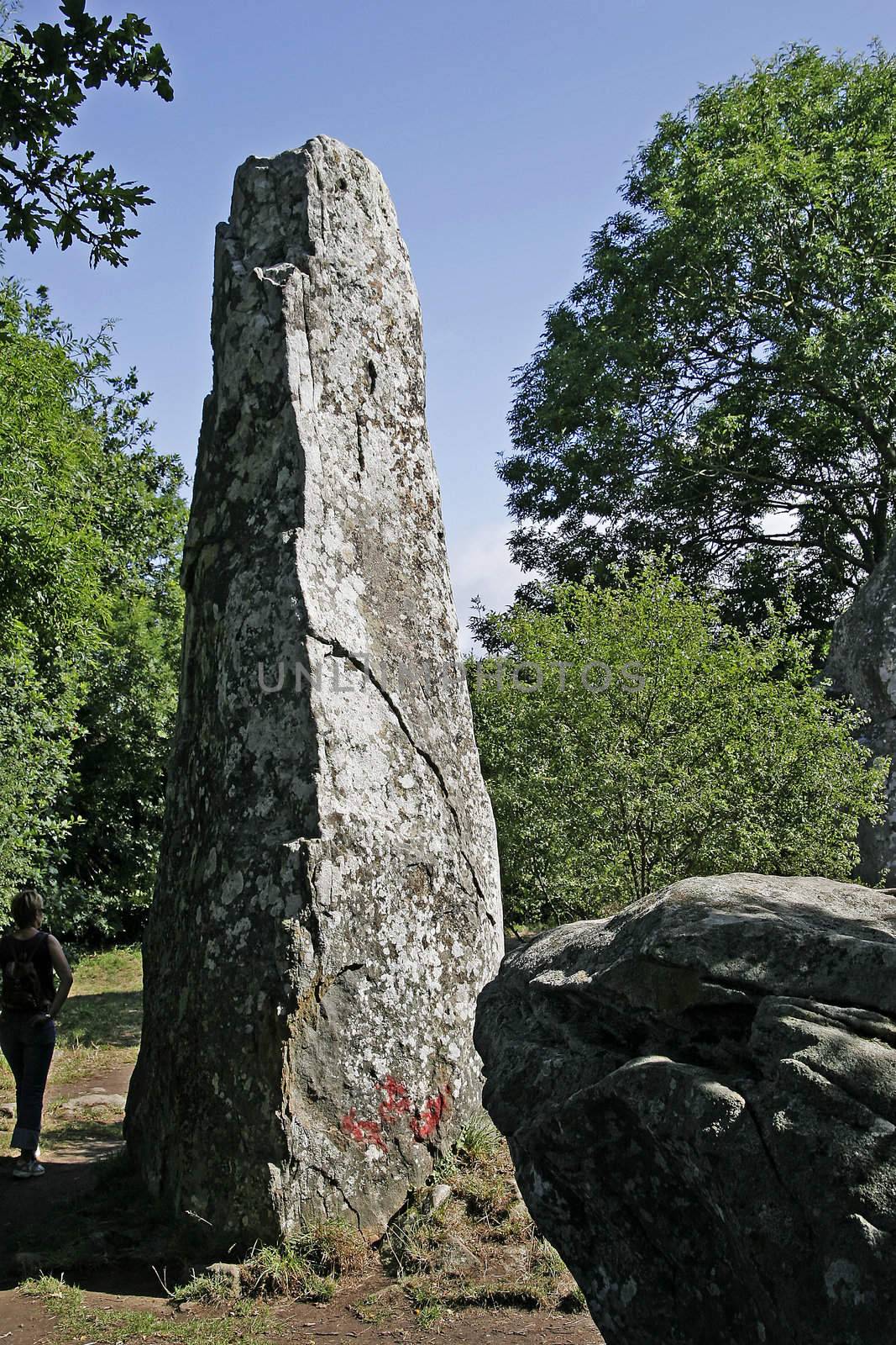 near Erdeven, Alignements de Kerzerho, Les Geants de Kerzerho, Brittany. Bei Erdeven, Alignements de Kerzerho, Les Geants de Kerzerho, Stein-Grab