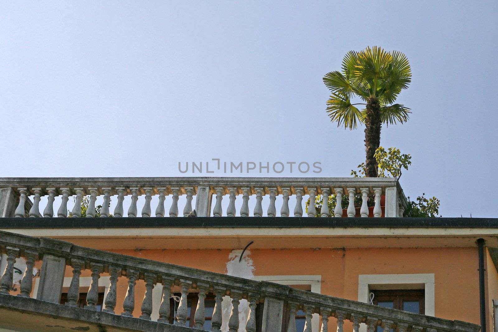 House with palm tree, Salo, Lake of Gards.
Salo, Hausdetail mit Palme am Gardasee.