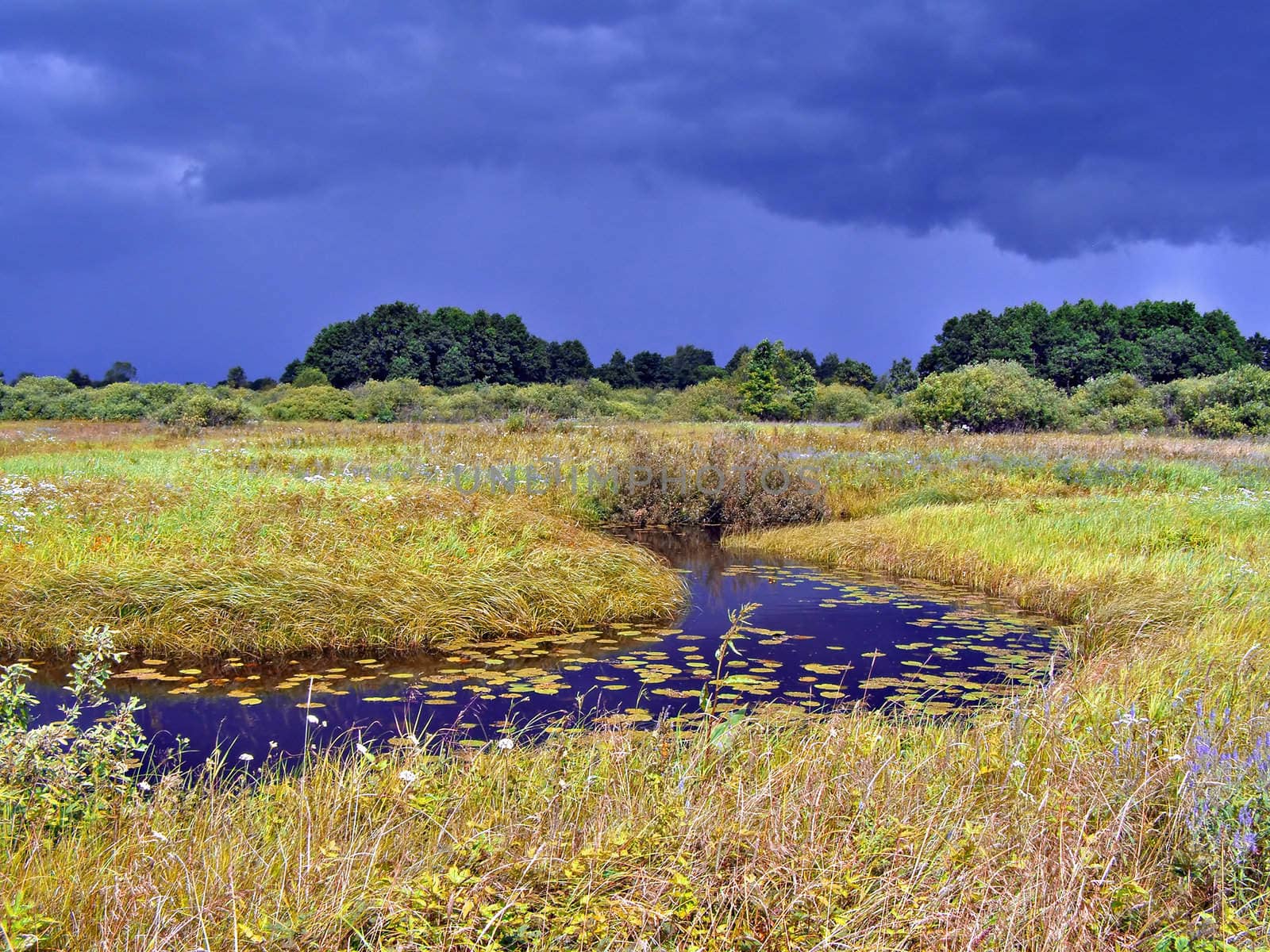 small stream on yellow autumn field before thunderstorm