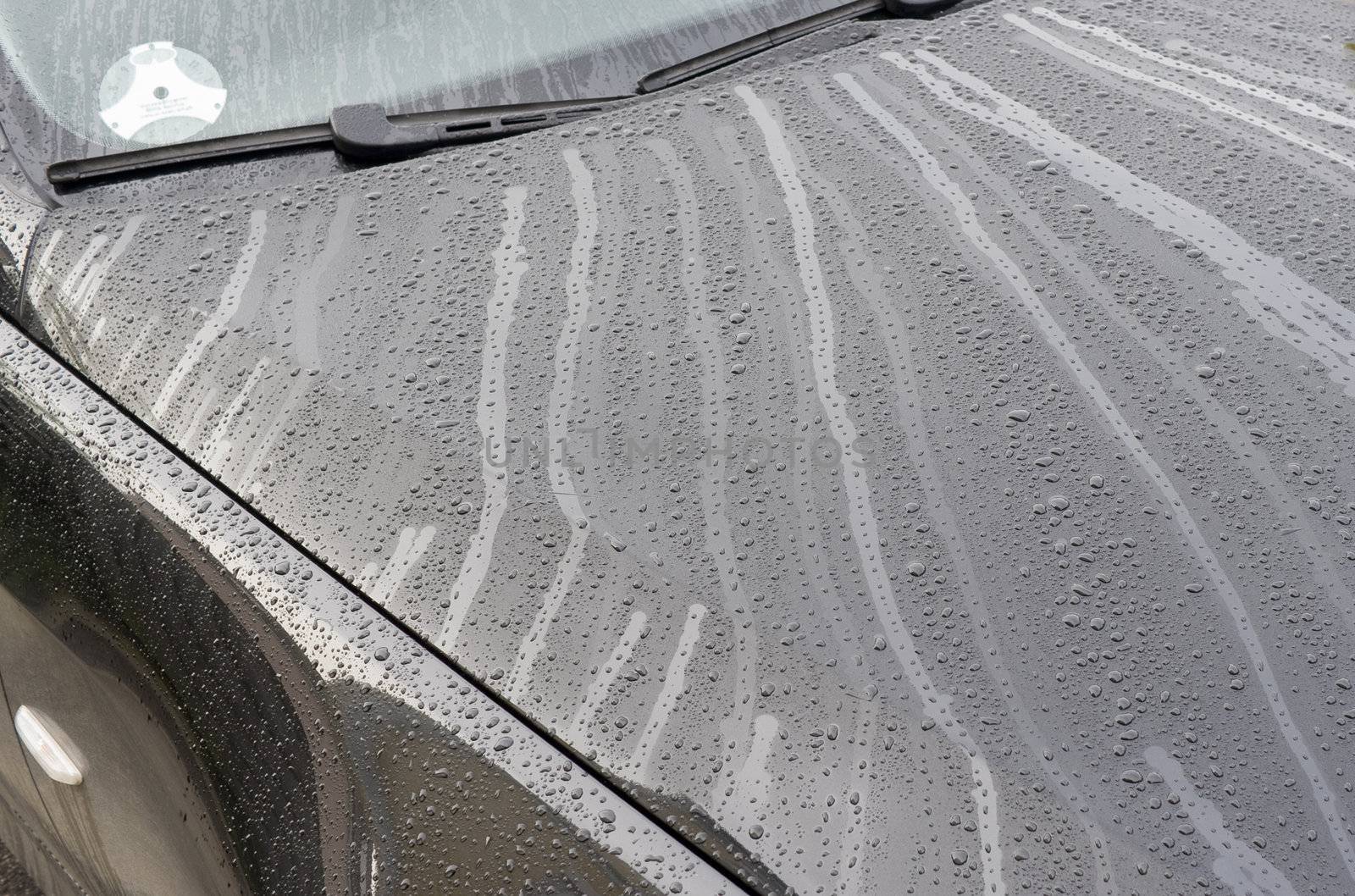 Wet car after rain shower early in the morning.