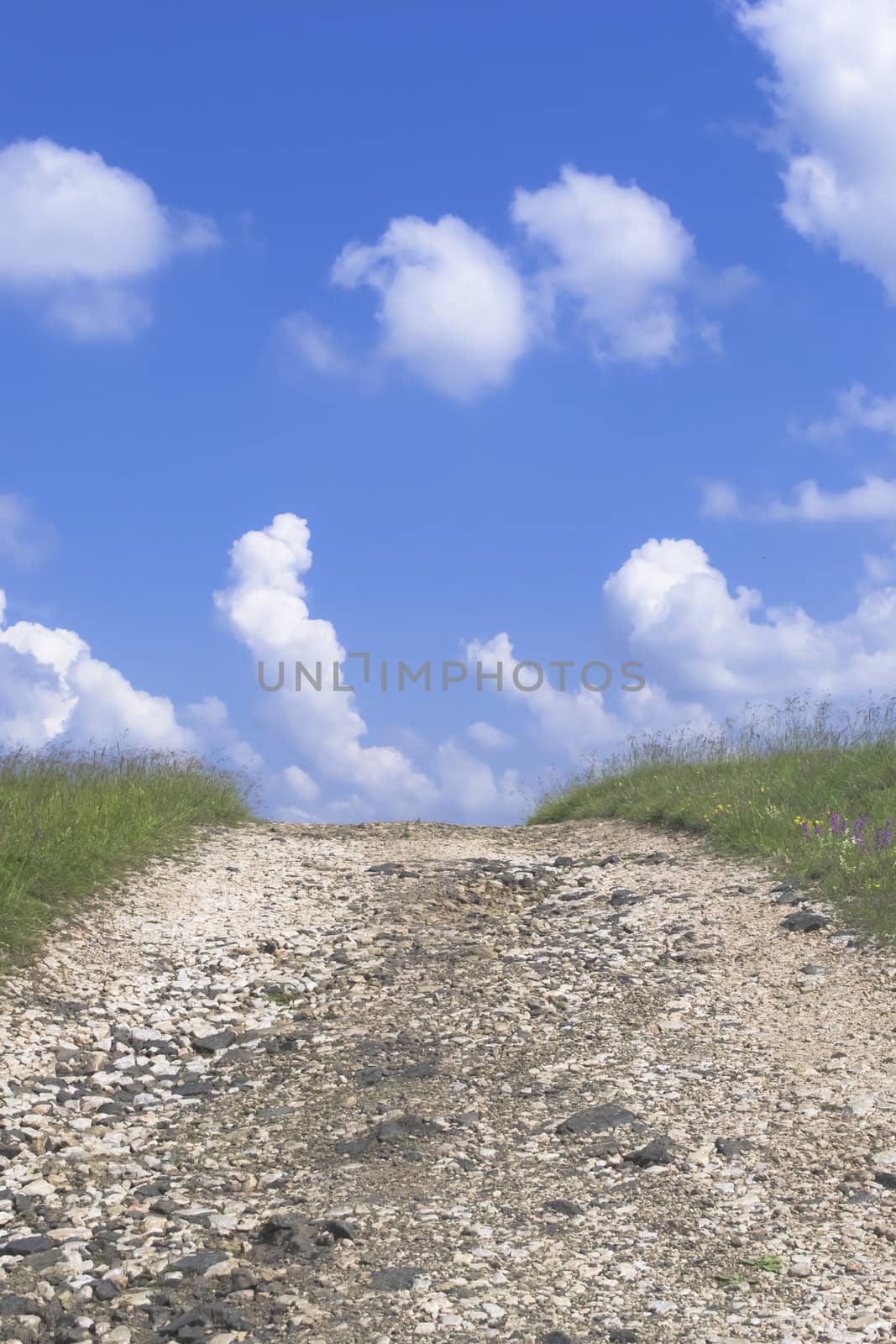 Rural road on sunny day