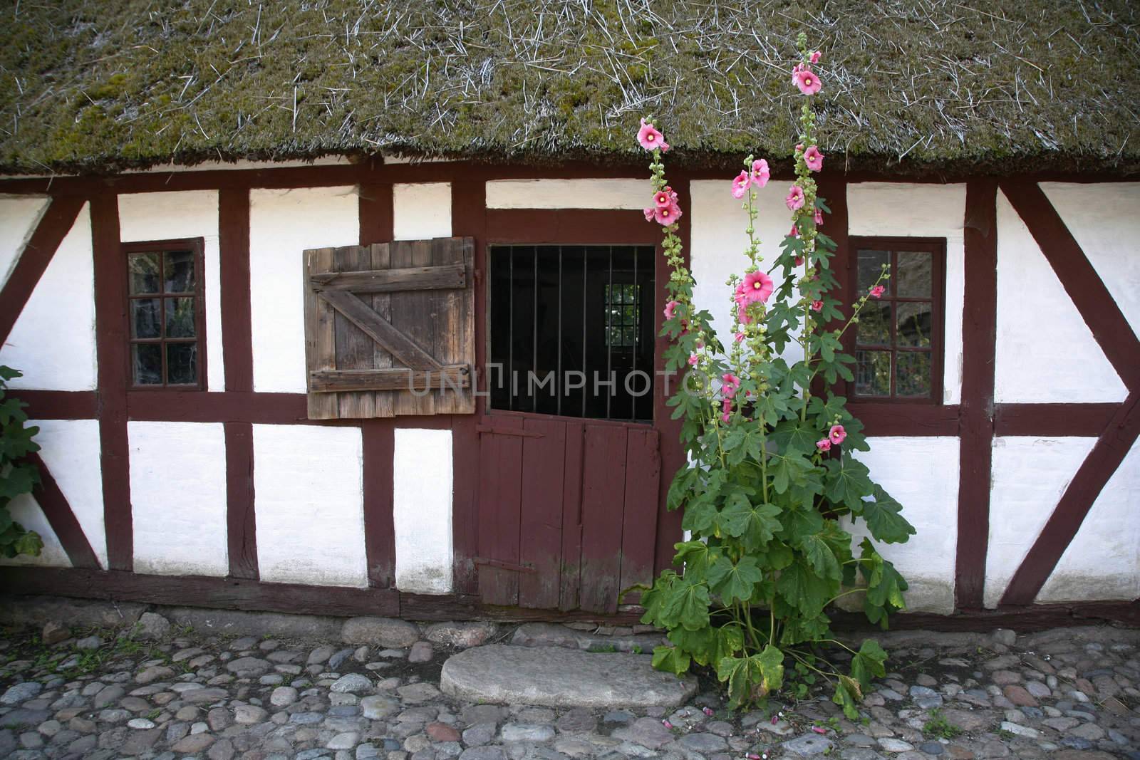 Detail of very old Danish farmhouse. The Funen Village, Odense.