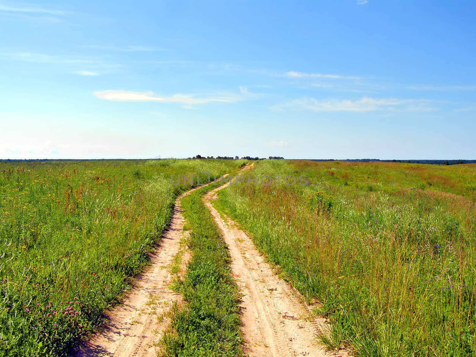 rural road