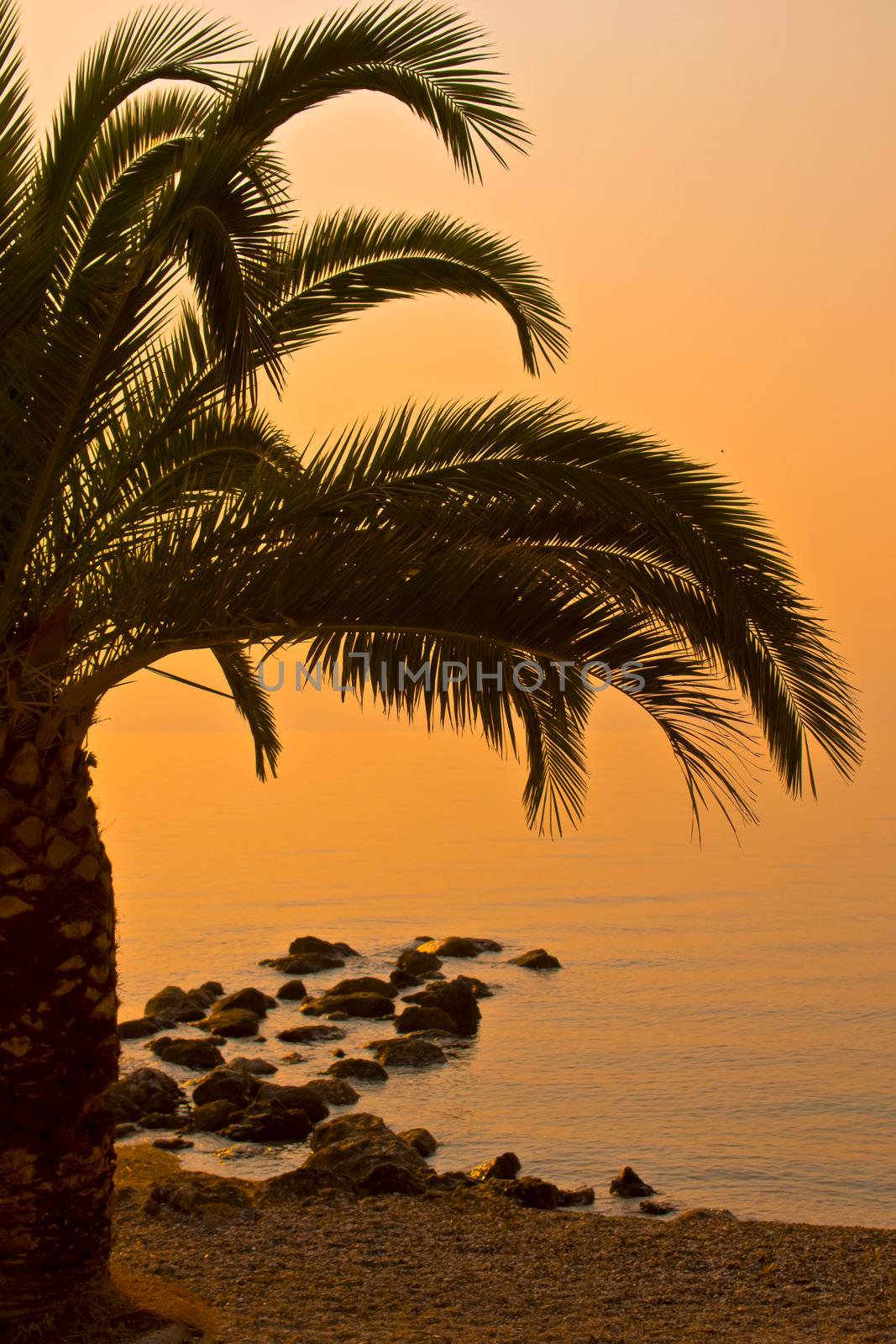 Beautiful beach sunrise landscape