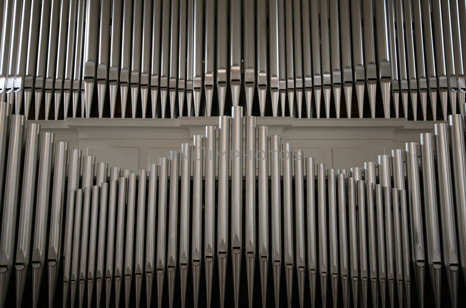 Organ by ABCDK